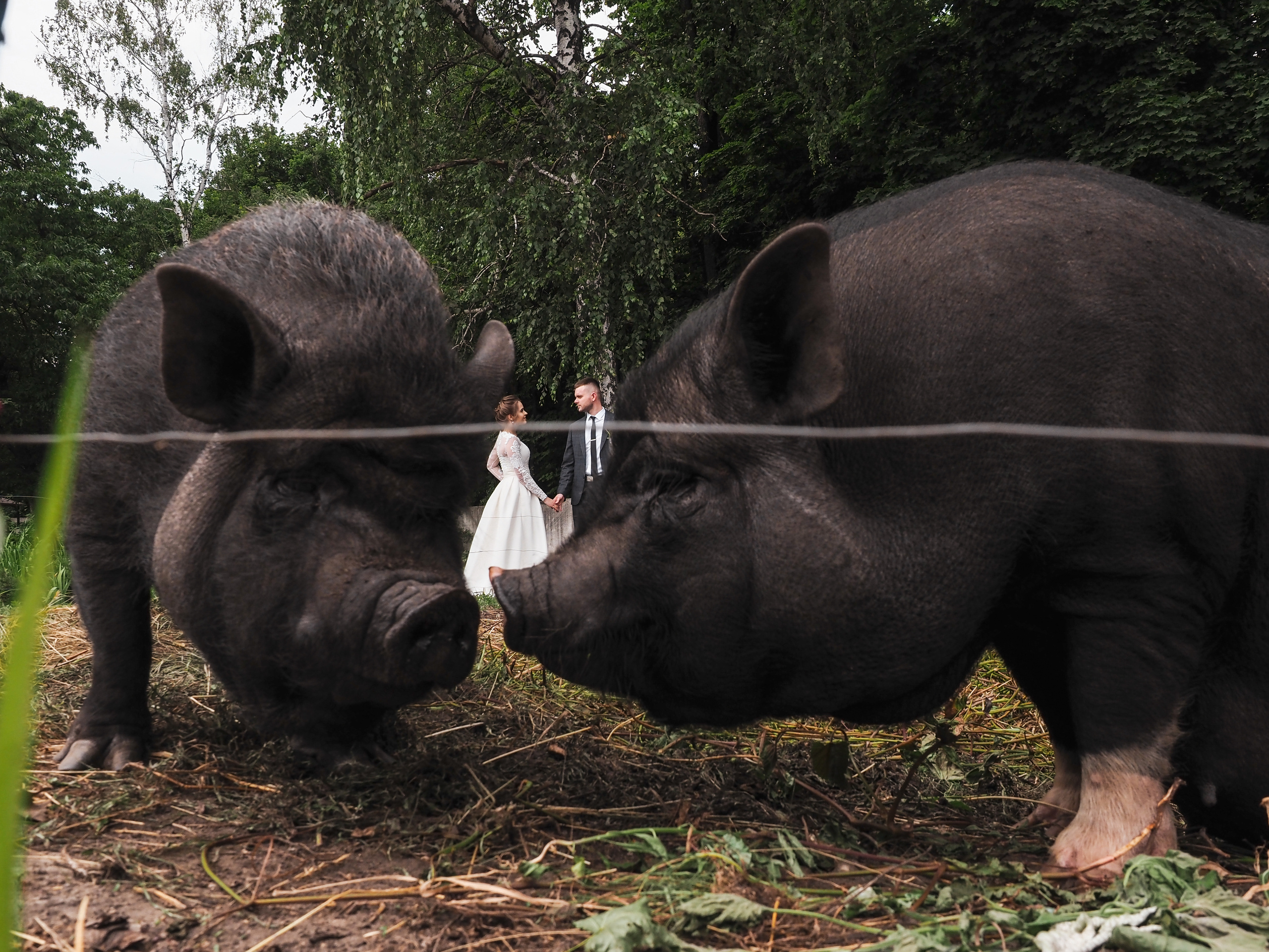 Wedding. Предметный и Фуд-фотограф в Воронеже Никита Кочергин
