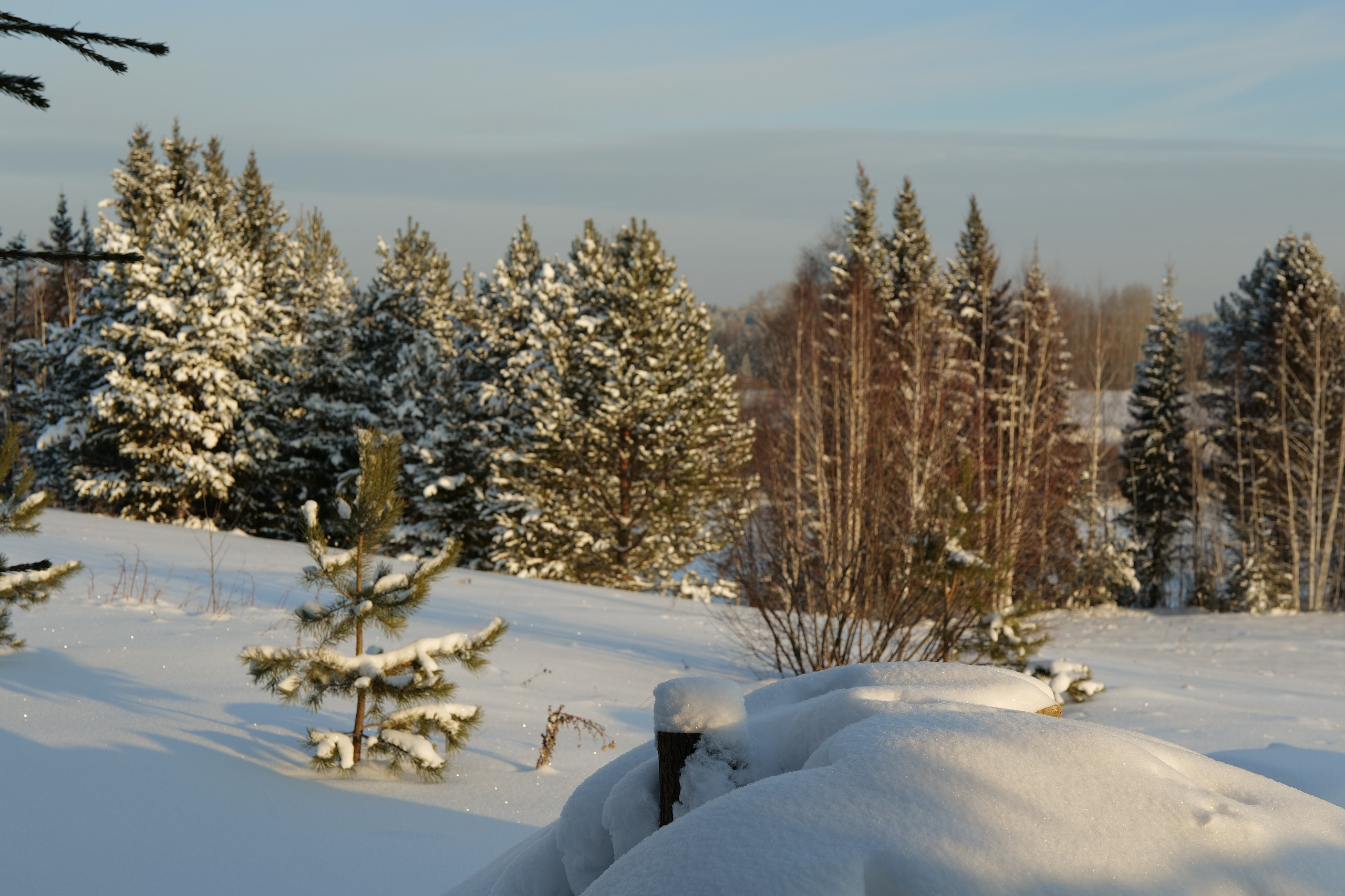 Верхотурье. Владимир Власюк