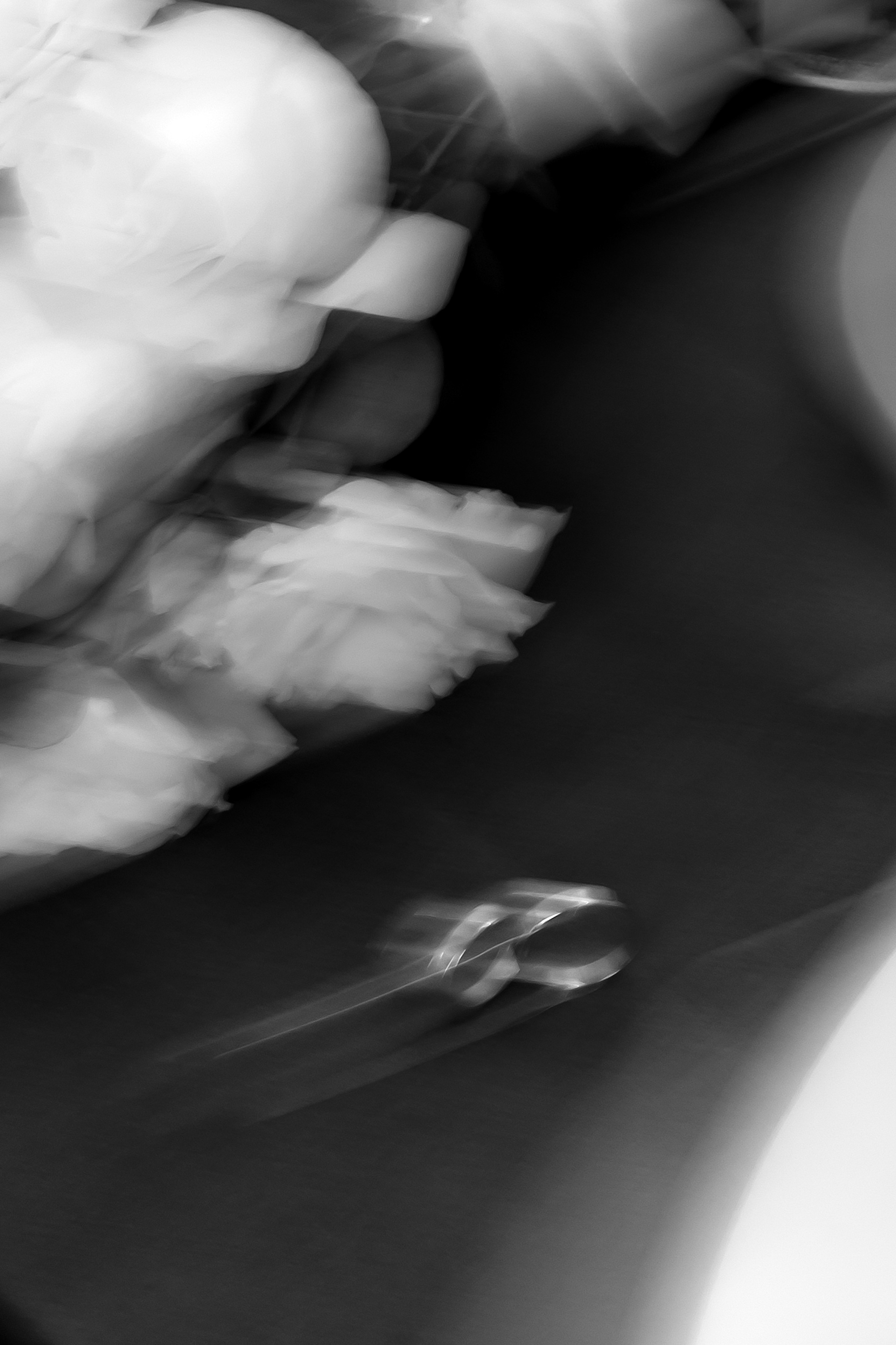 Евгений & Юлия. Ксения Федорова — фотограф