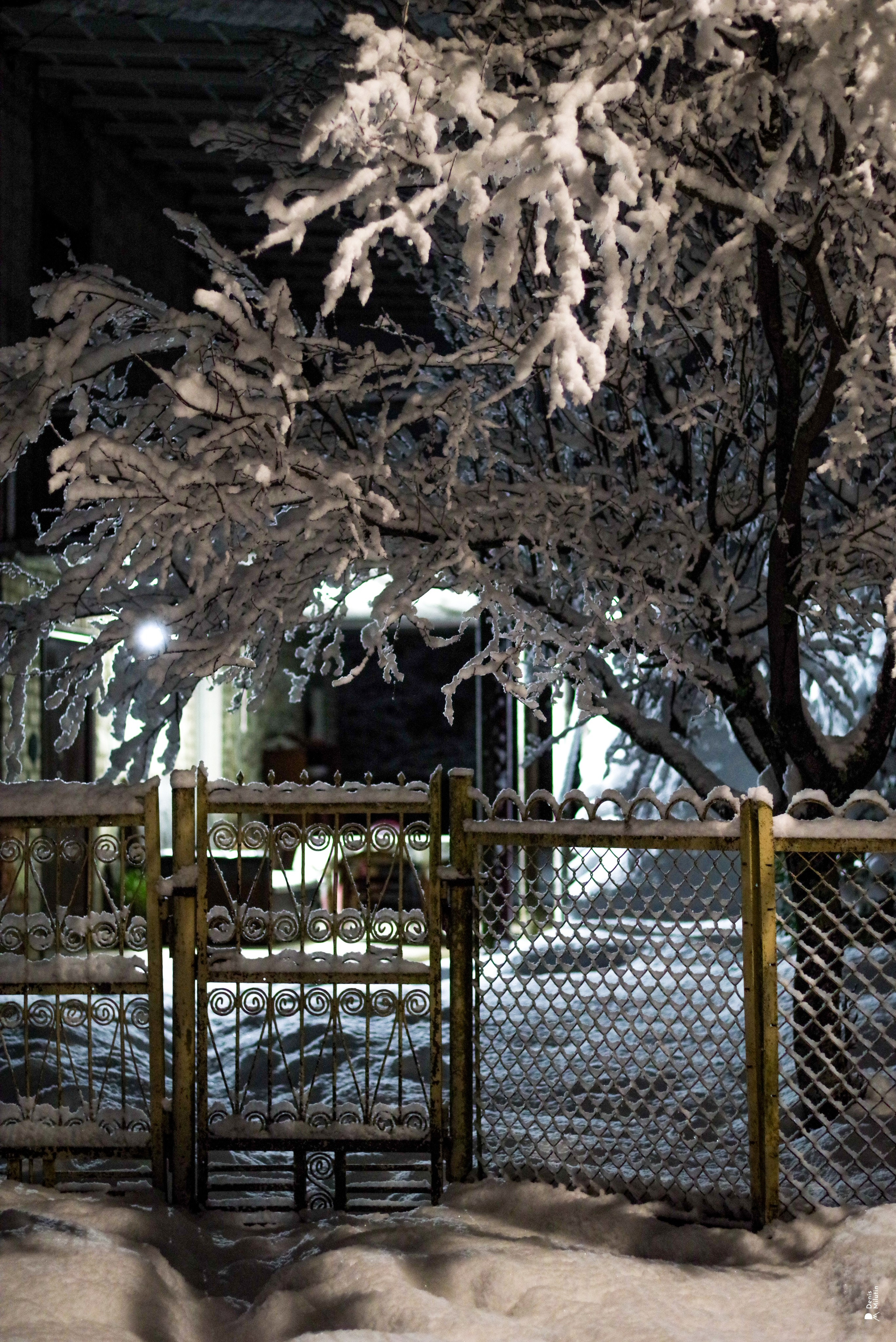 Ночь в Менджи. Портретный фотограф Денис Милютин