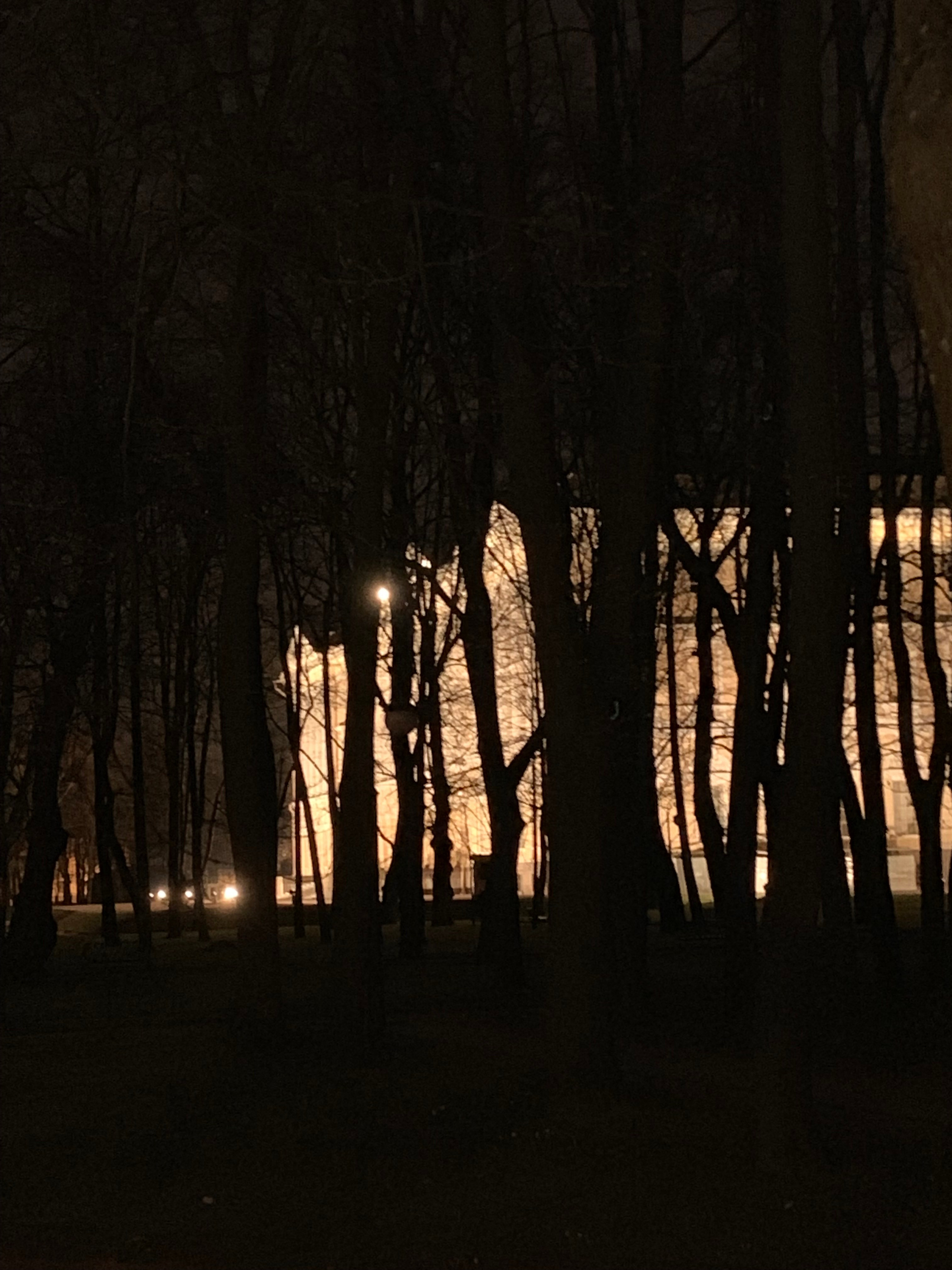 2019 год. Тащилин Сергей. Фотографии. Жизнь. Хобби