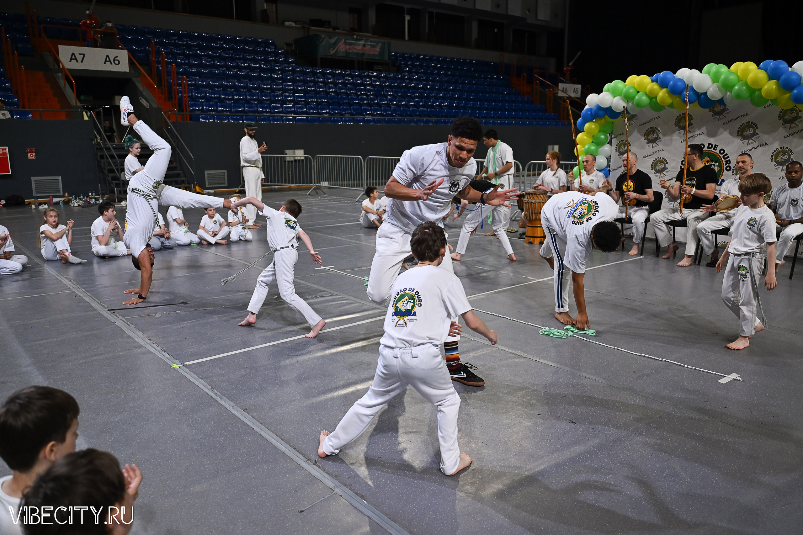 Капоэйра. Вручение поясов. VIBECITY.RU Вайб Сити Ру Фоторепортажи Фотоотчеты Калининград