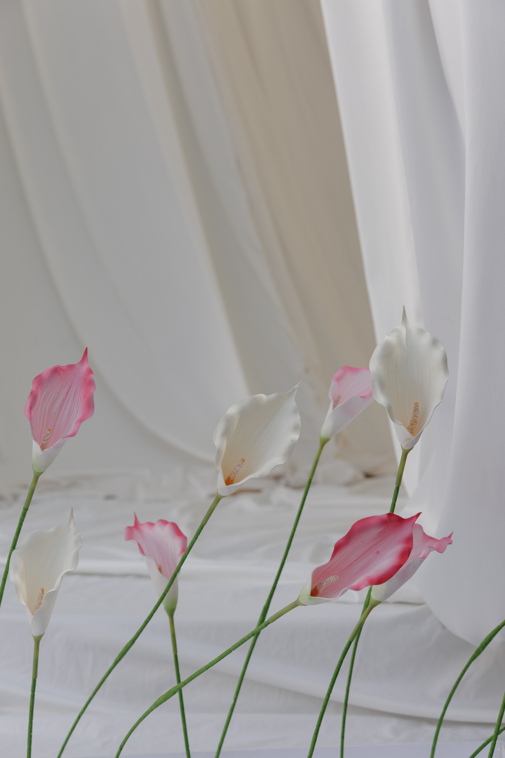 Владислав и Елизавета. Свадебный фотограф