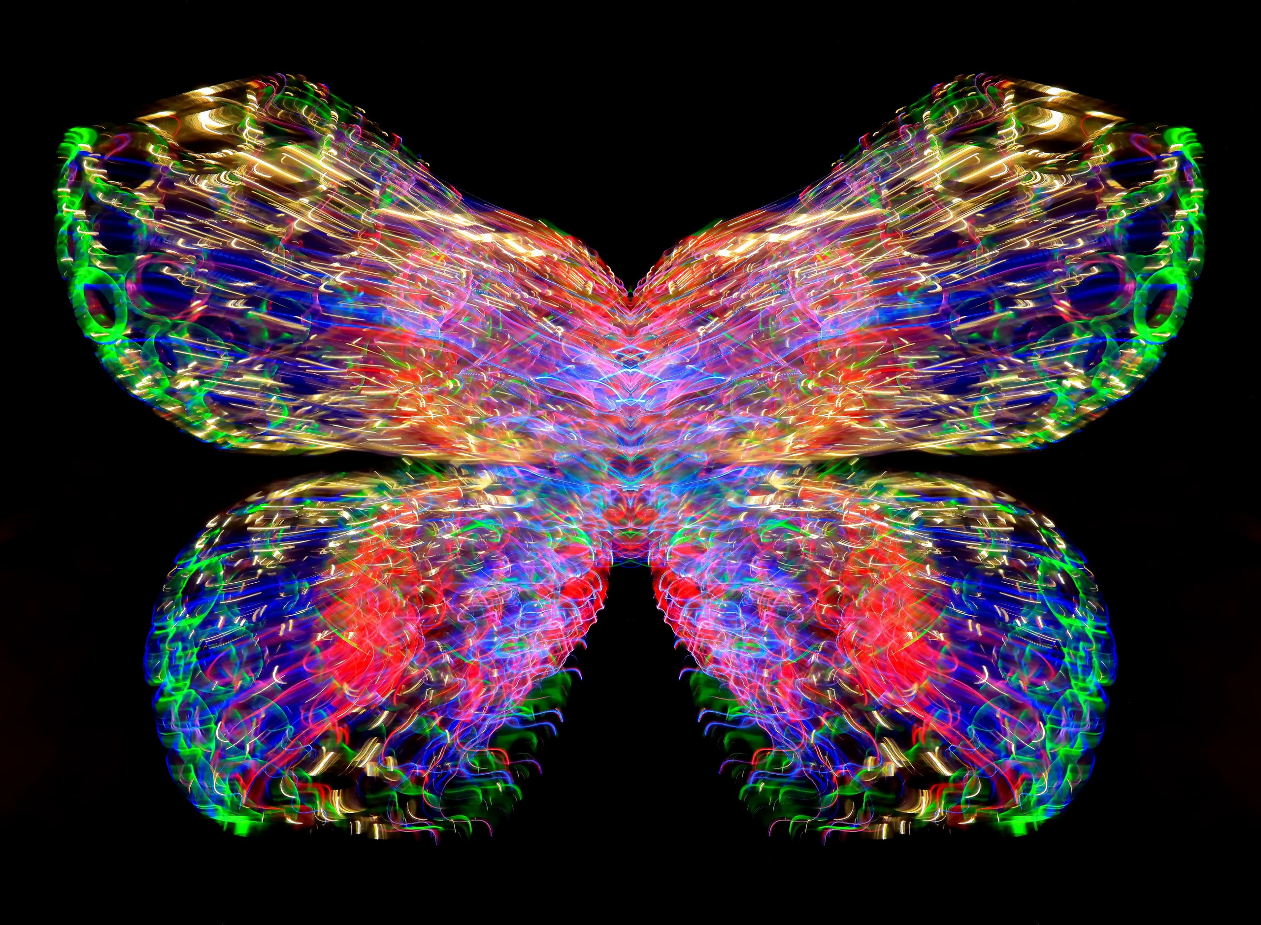 🦋 Бабочки. Арт — фотограф Александр Шудыкин