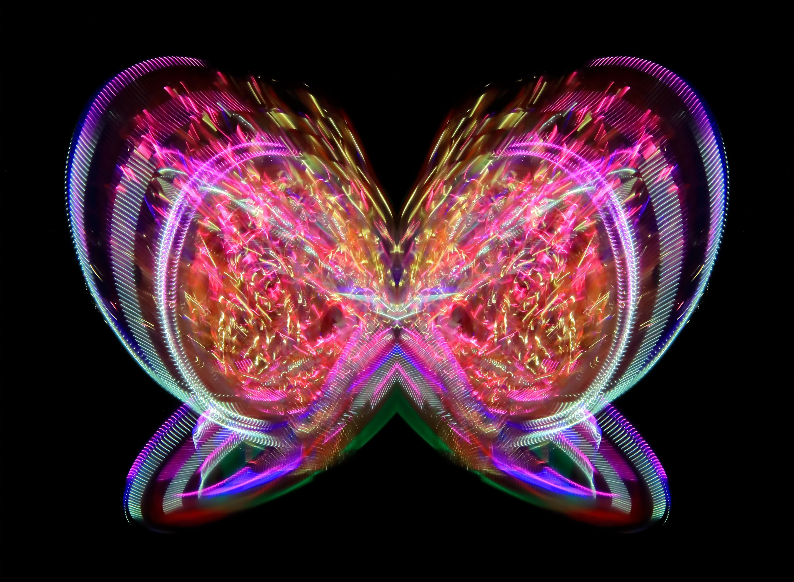 🦋 Бабочки. Арт — фотограф Александр Шудыкин