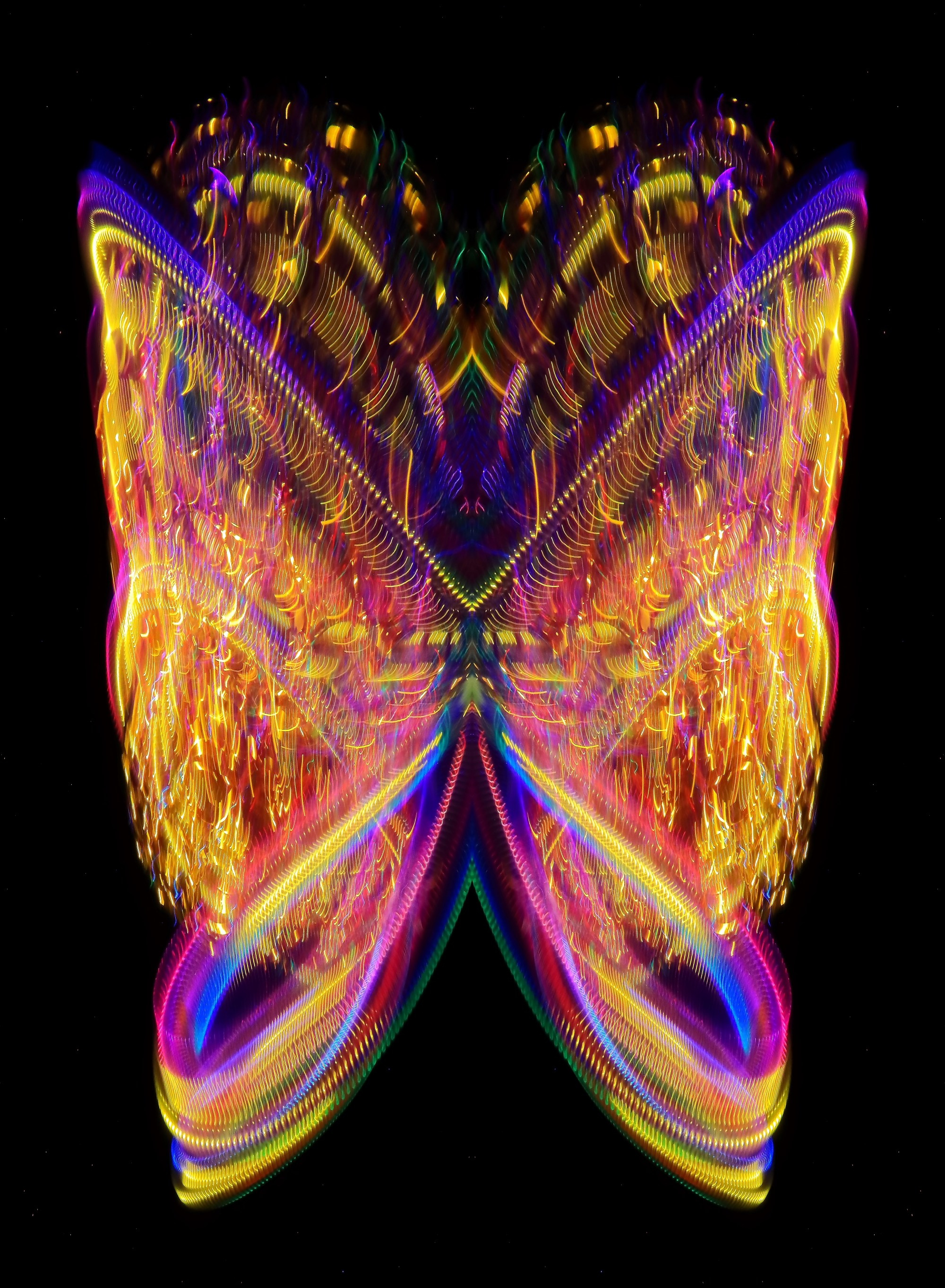🦋 Бабочки. Арт — фотограф Александр Шудыкин