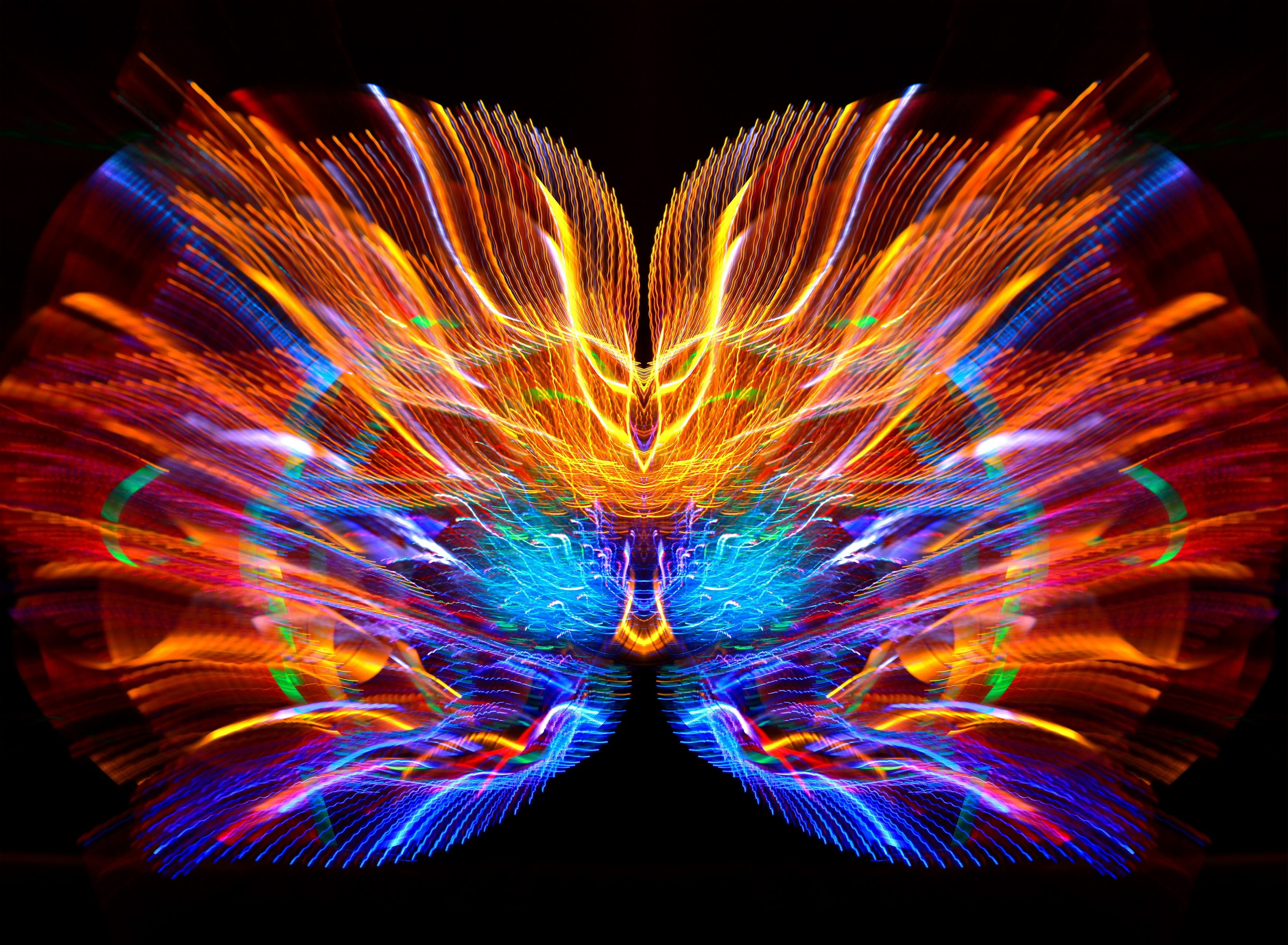🦋 Бабочки. Арт — фотограф Александр Шудыкин