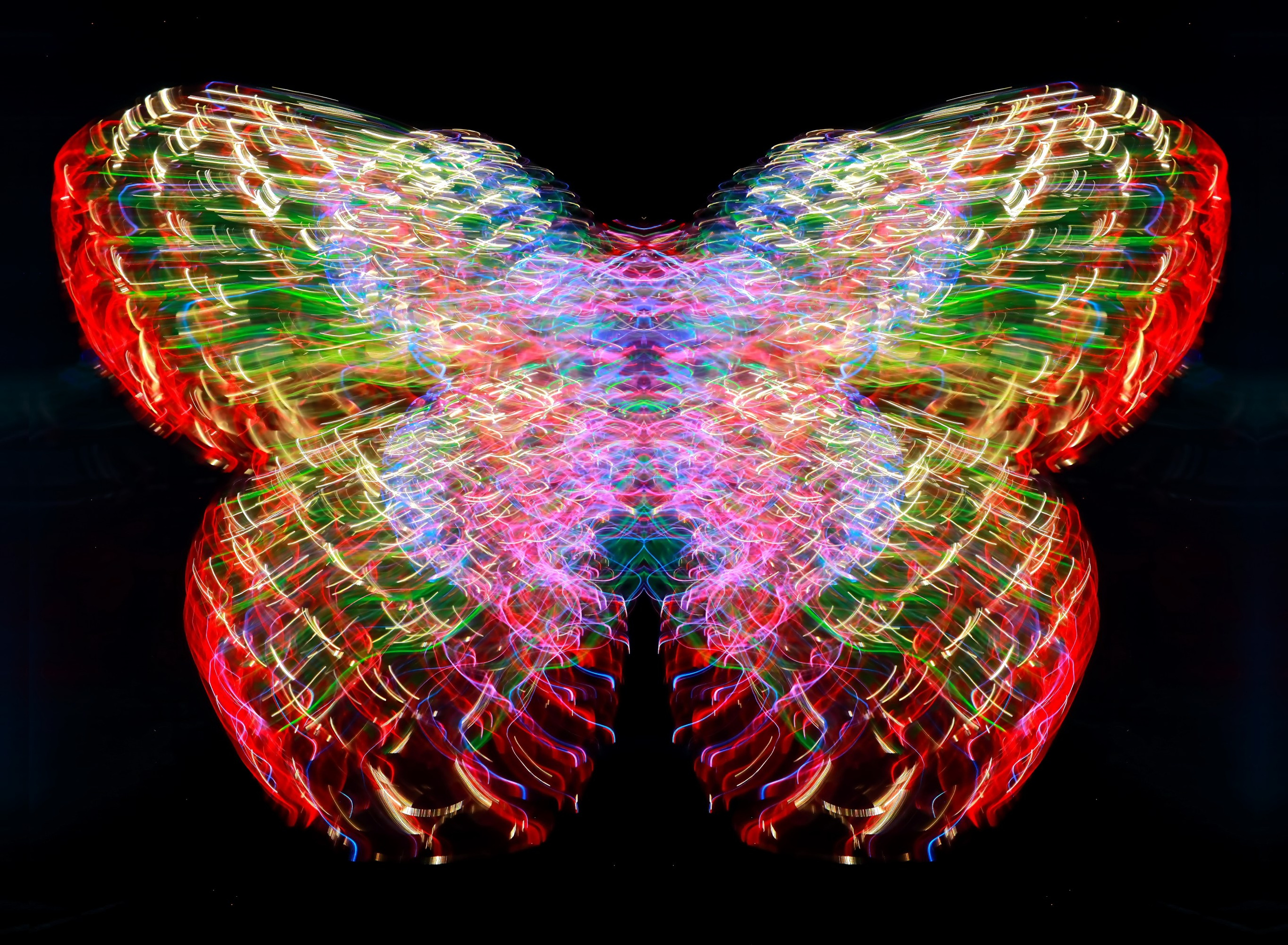 🦋 Бабочки. Арт — фотограф Александр Шудыкин
