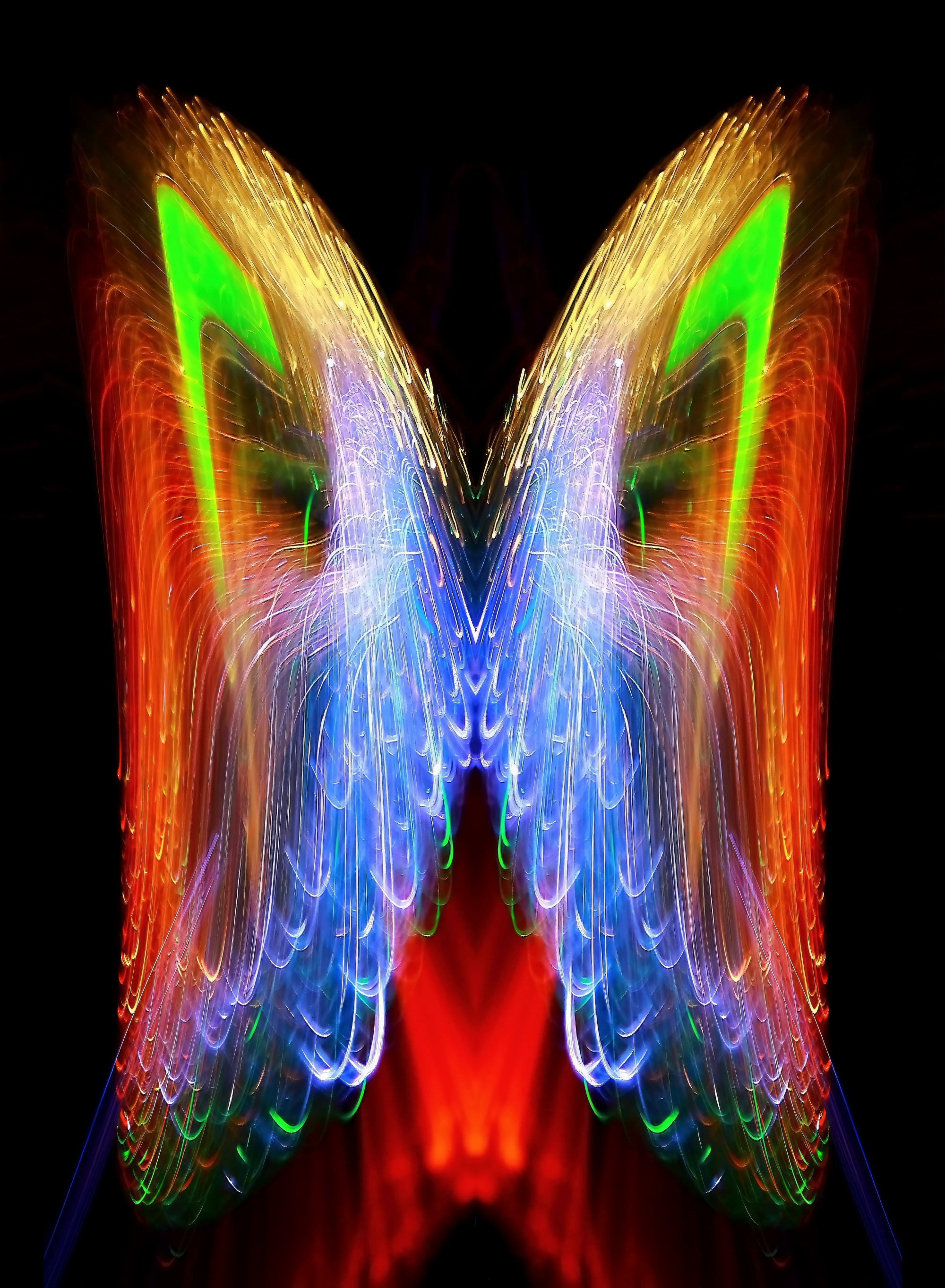 🦋 Бабочки. Арт — фотограф Александр Шудыкин