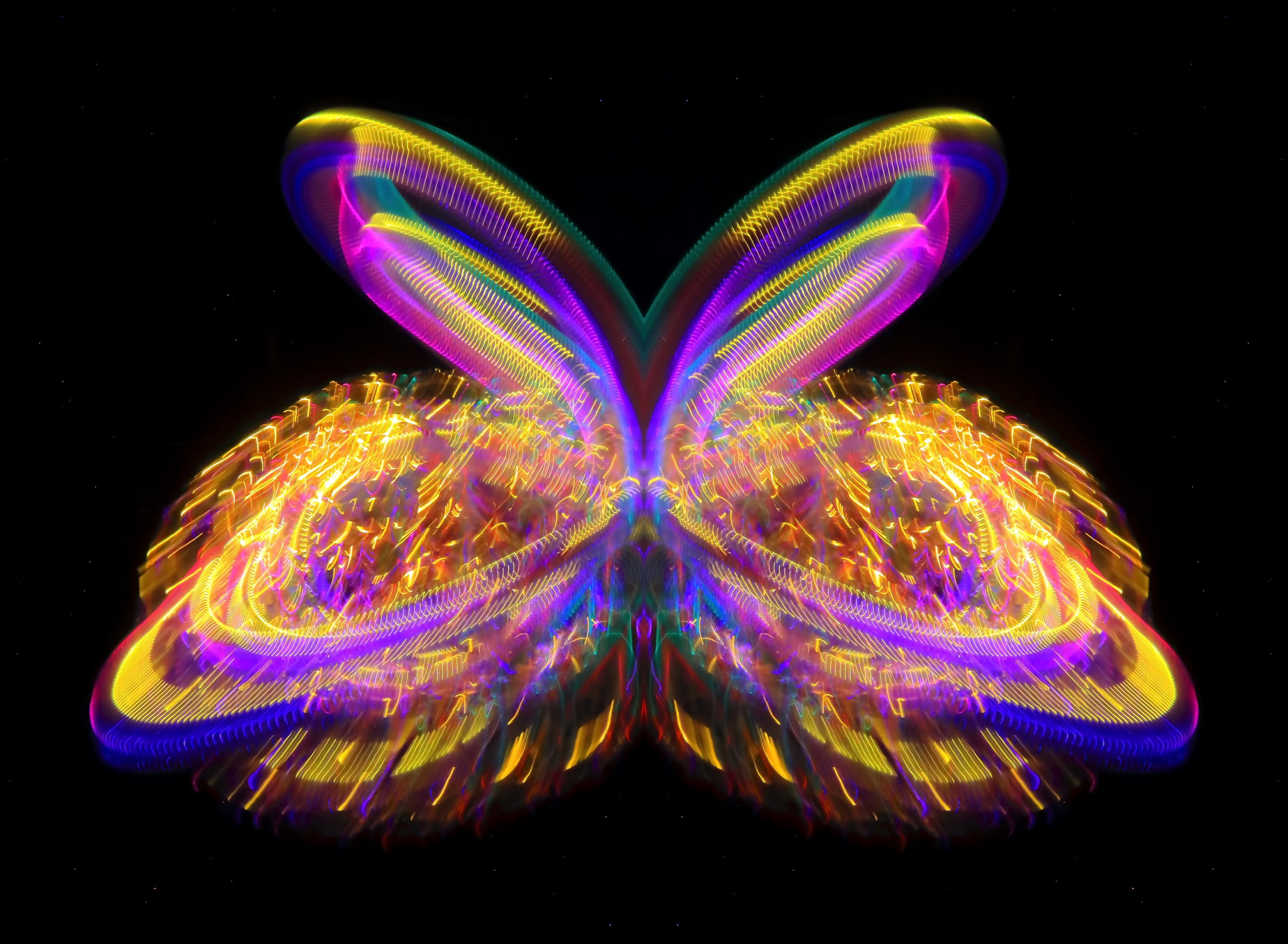 🦋 Бабочки