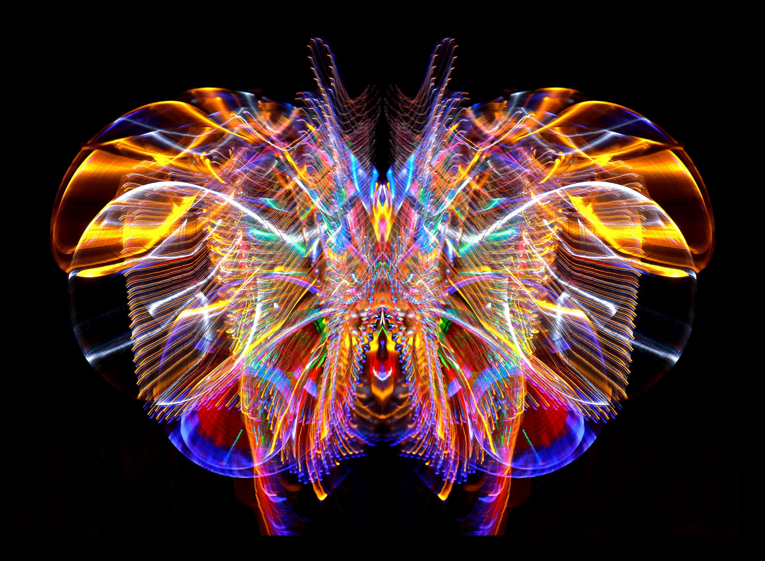 🦋 Бабочки. Арт — фотограф Александр Шудыкин