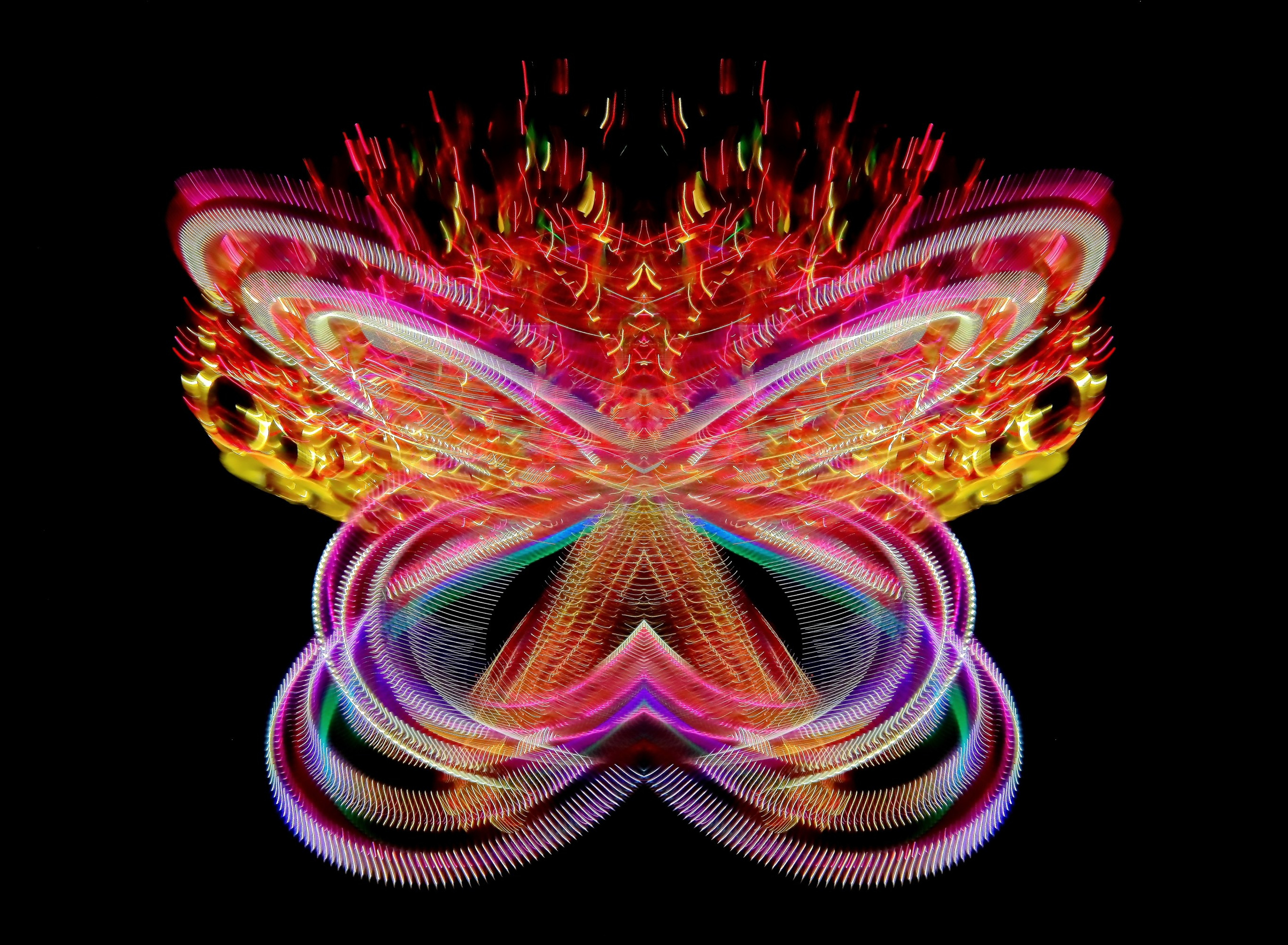 🦋 Бабочки. Арт — фотограф Александр Шудыкин