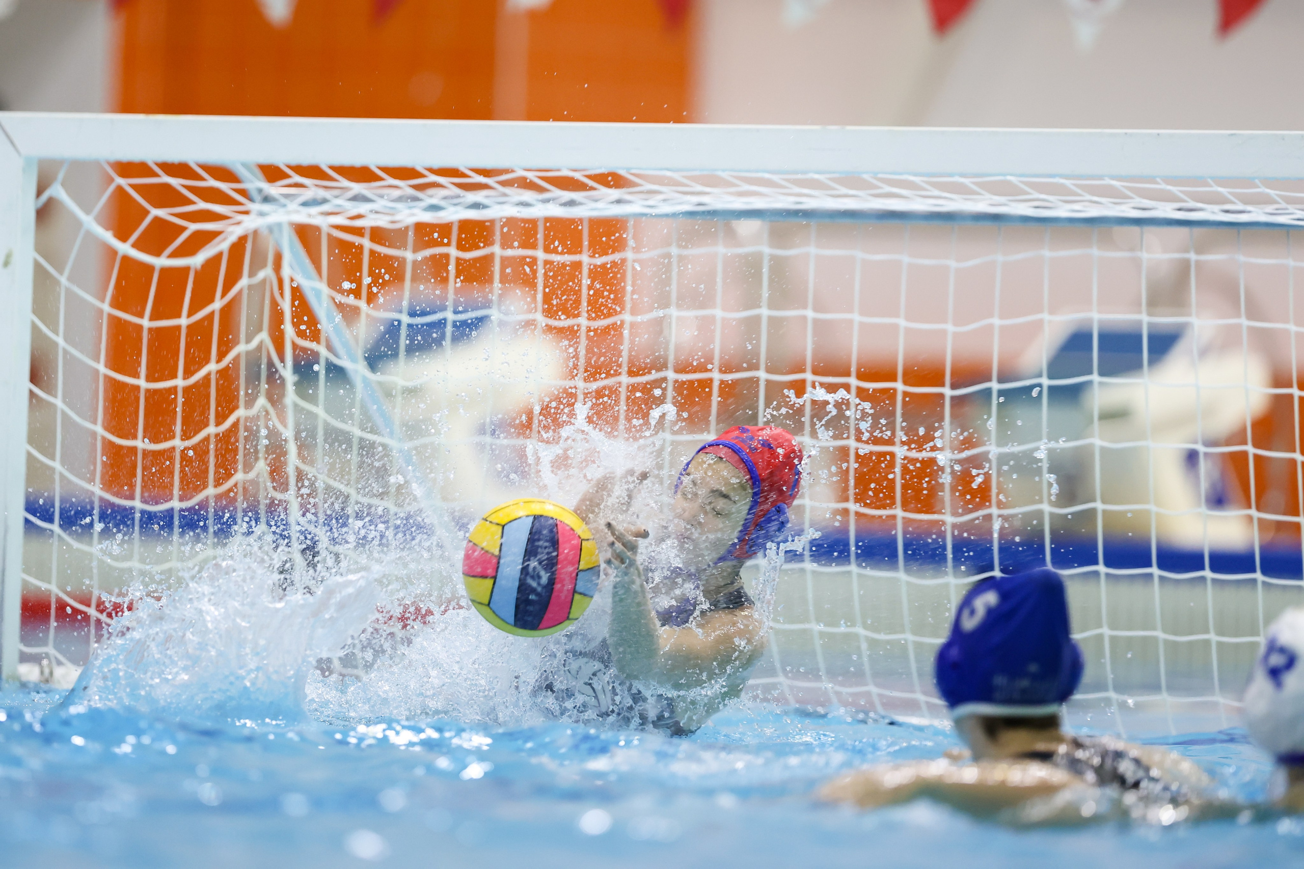 ВК «Диана» — ВК «Буревестник». Спортивный и репортажный фотограф Антон Тереханов