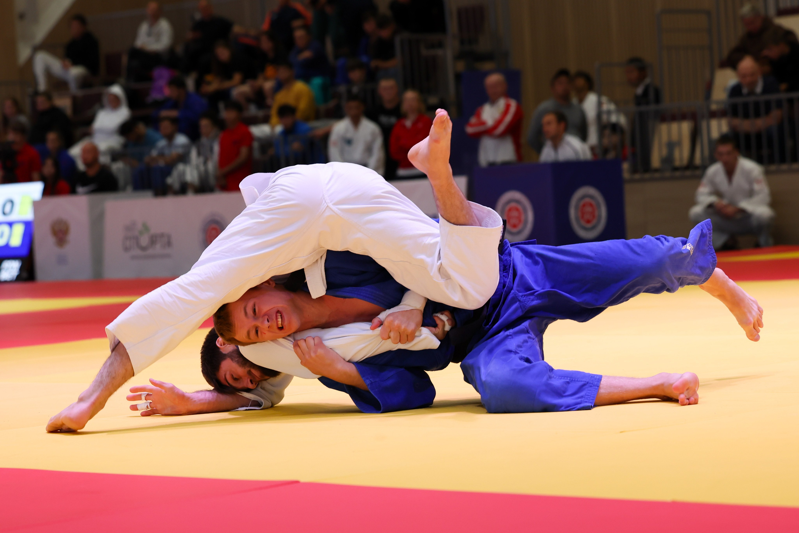 Легенды петербургского дзюдо 16.08.2025. Спортивный и репортажный фотограф Антон Тереханов