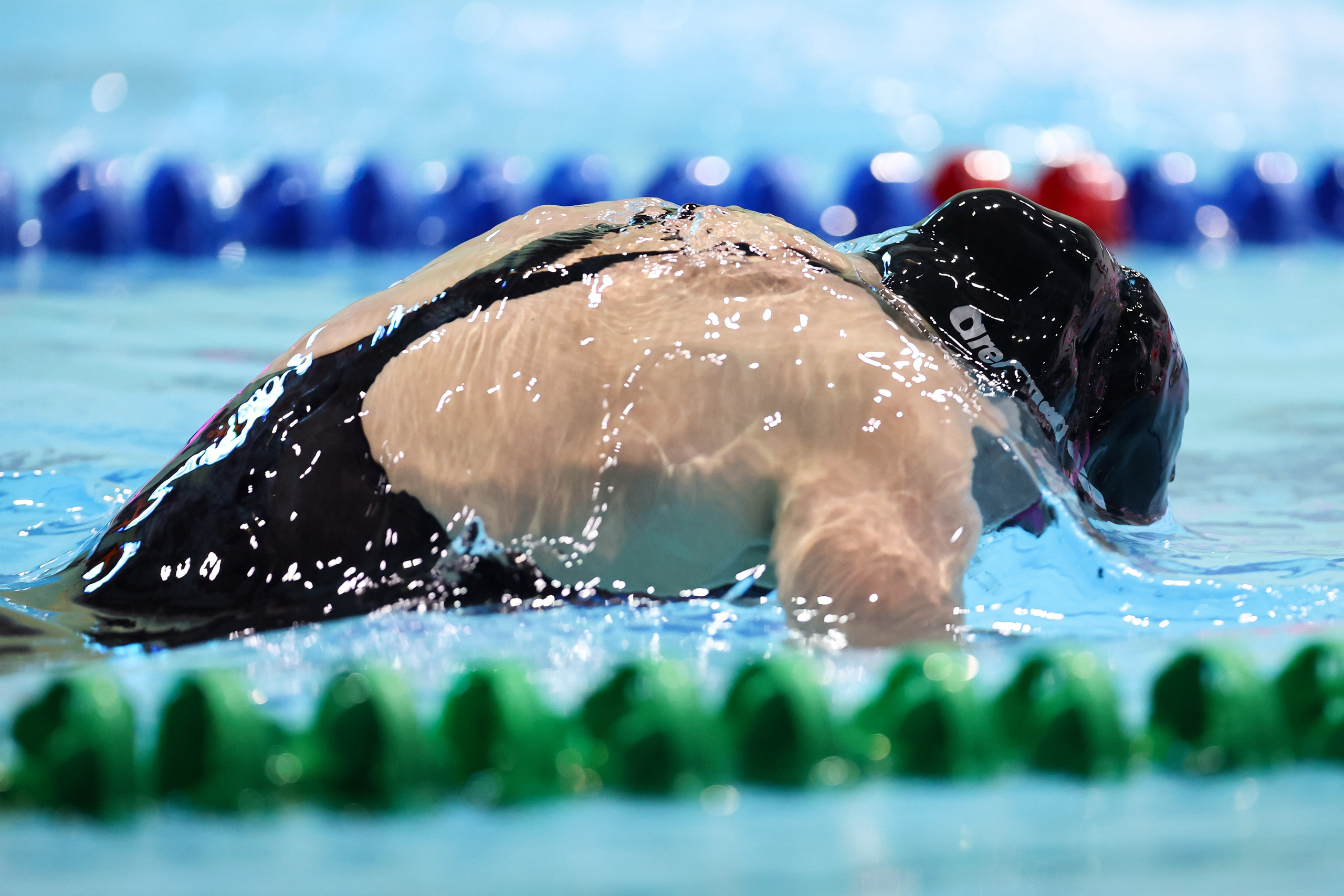 Чемпионат России по плаванию 25 м 20-25.11.2023. Спортивный и репортажный фотограф Антон Тереханов