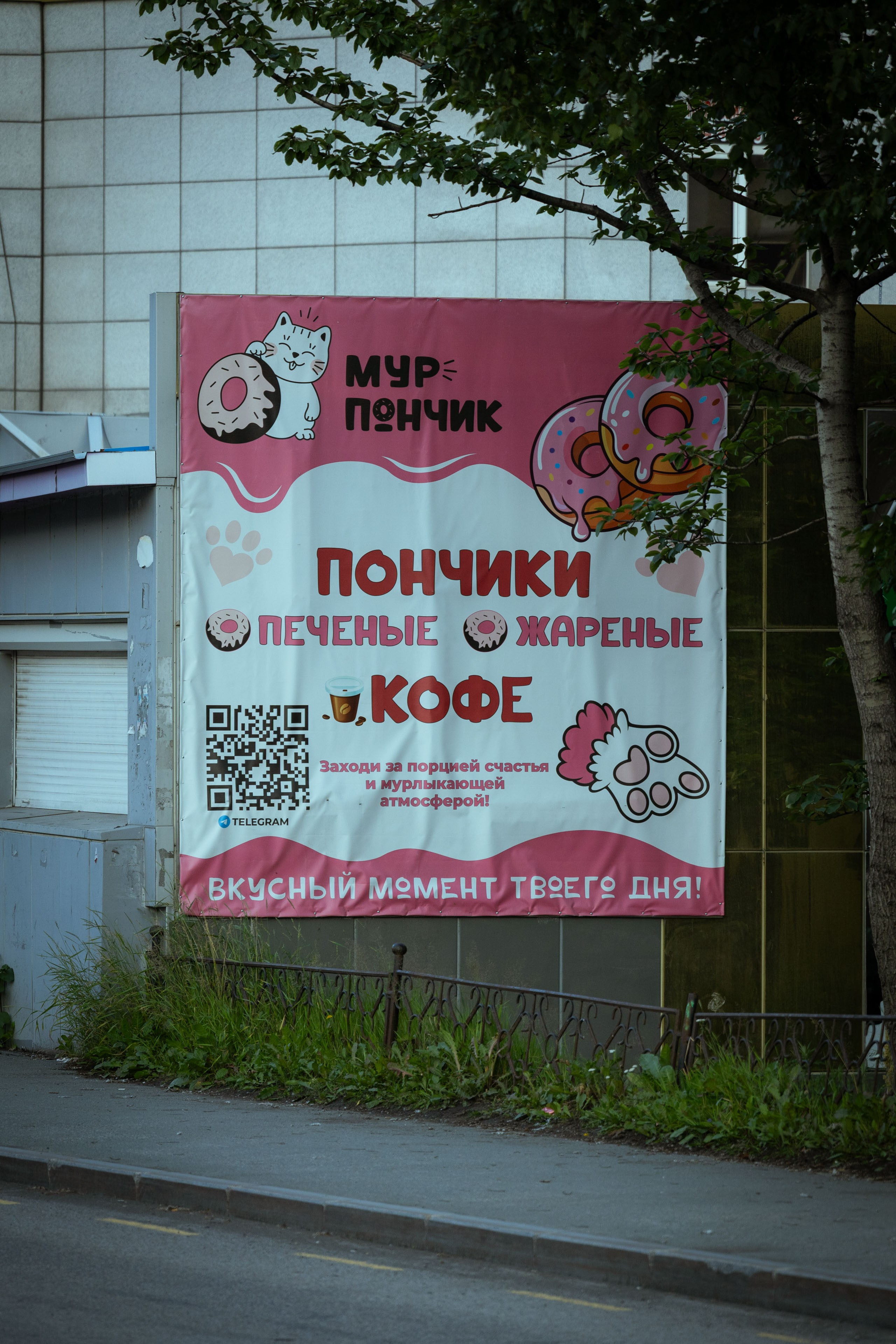 Камчатка (август 2026). Репортажный фотограф Виноградов Константин