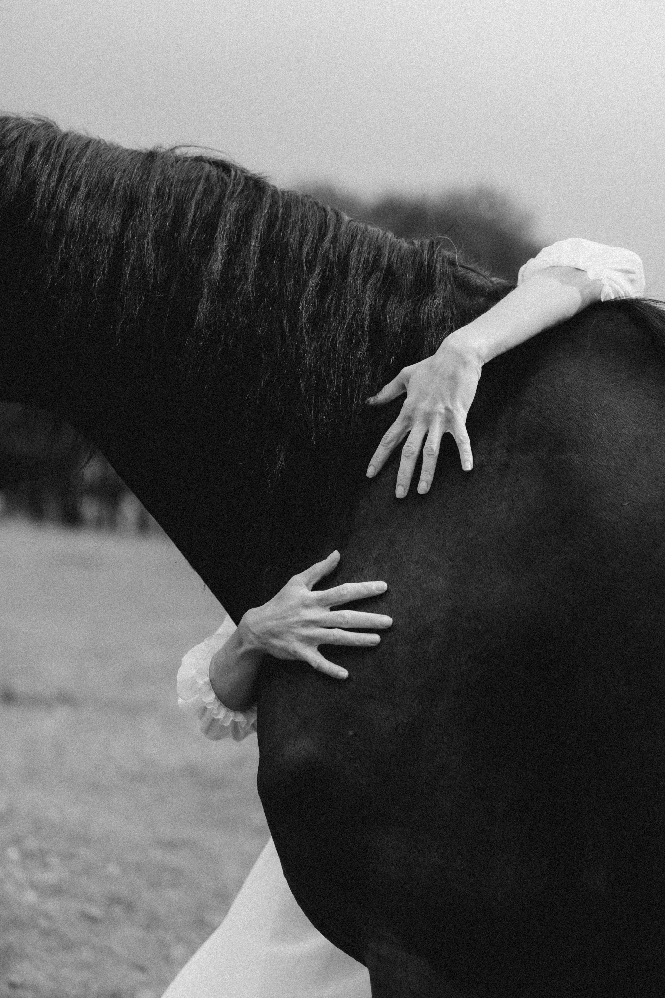 Кристина на ранчо. Семейный и свадебный фотограф в Москве и Московской области