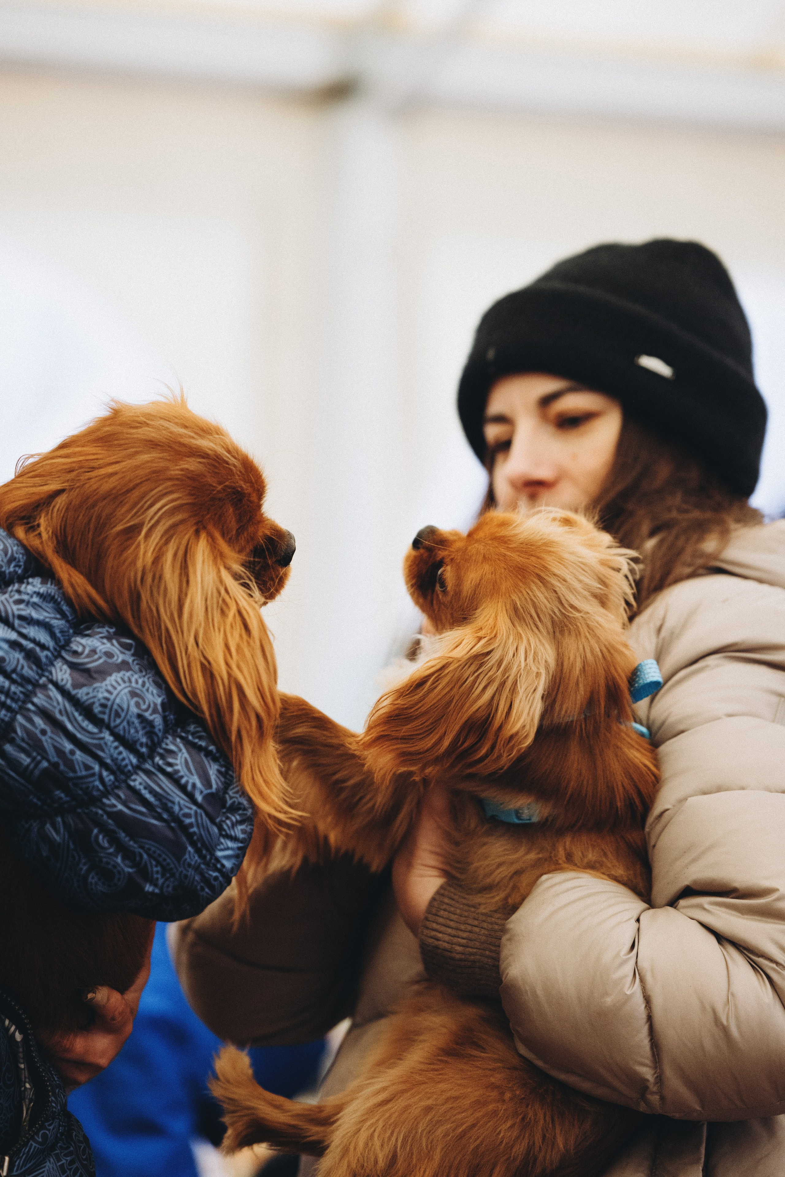 Встреча ККЧС. Фотограф анималист Осипчикова Мария