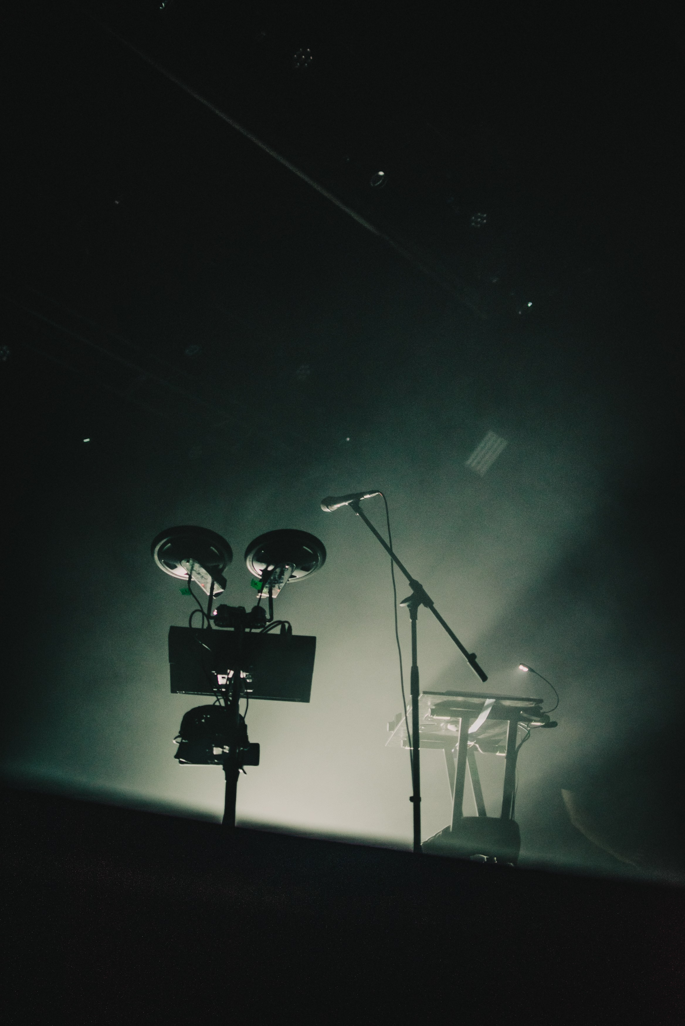 Дельфин | Gaudi. Контент фотограф Илья Урс