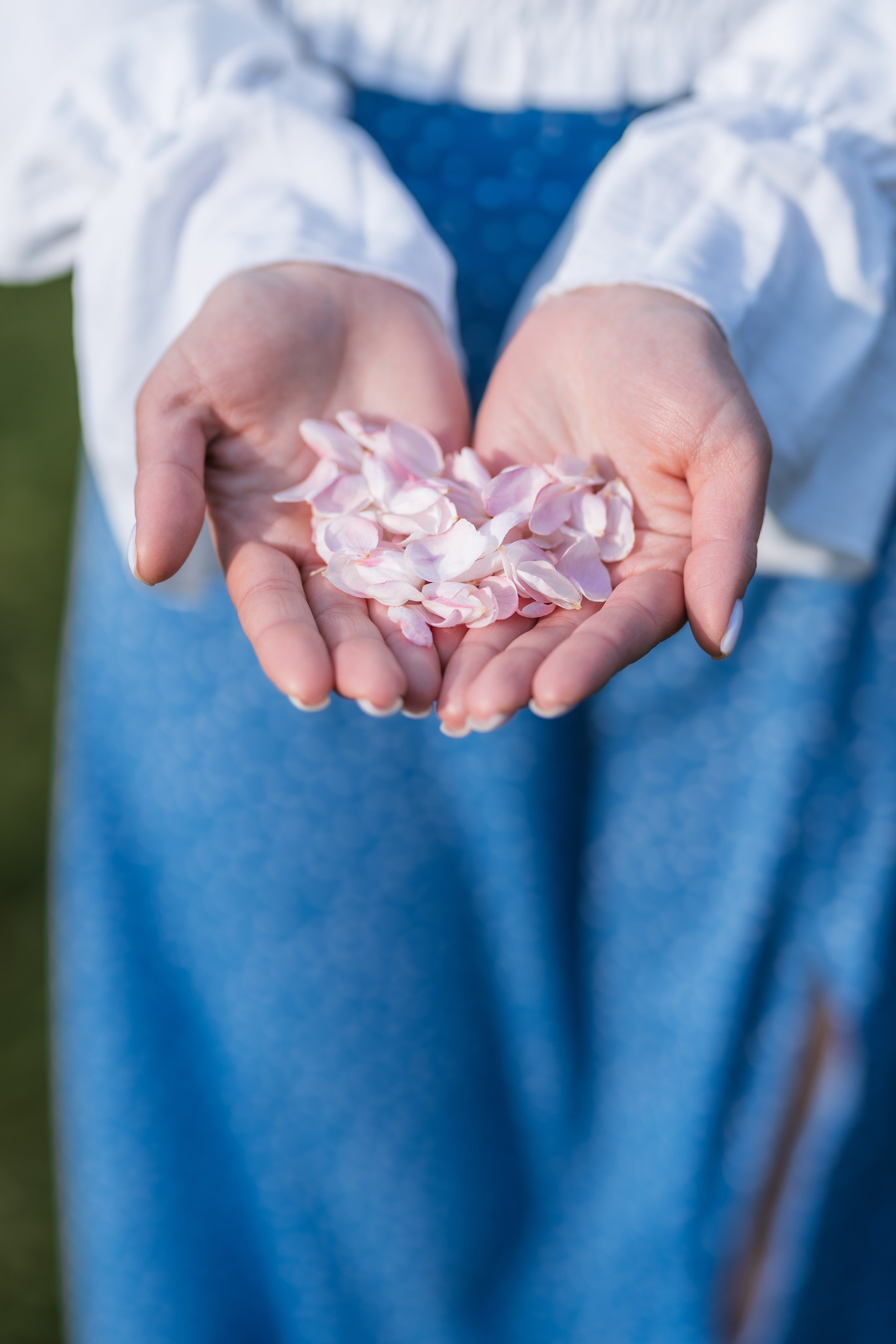 ЛОШИЦКИЙ ПАРК. Cheta Kovalevsky фотографы