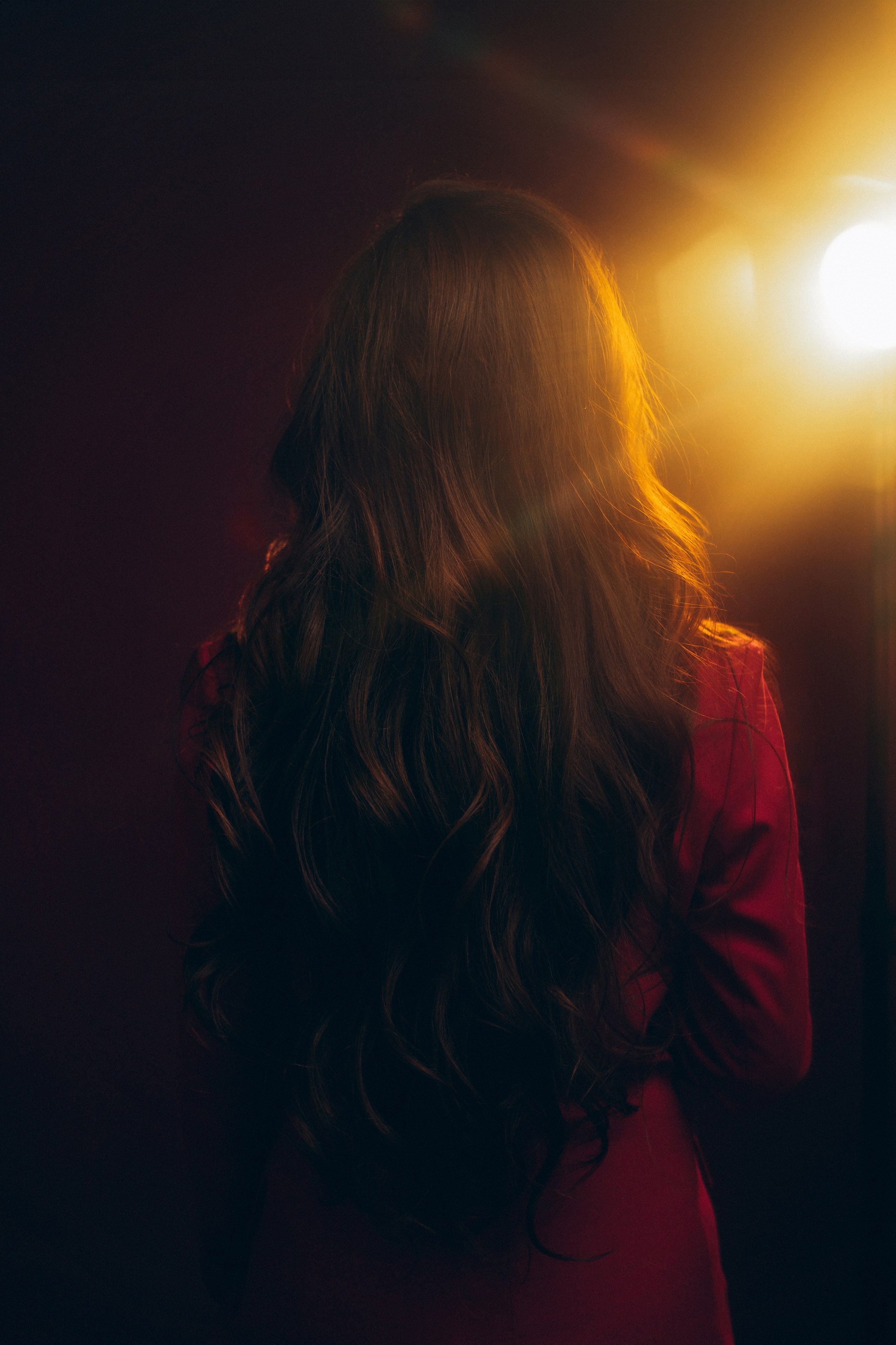 Red Fox. Фотограф Батуми | Ксения Кинасова