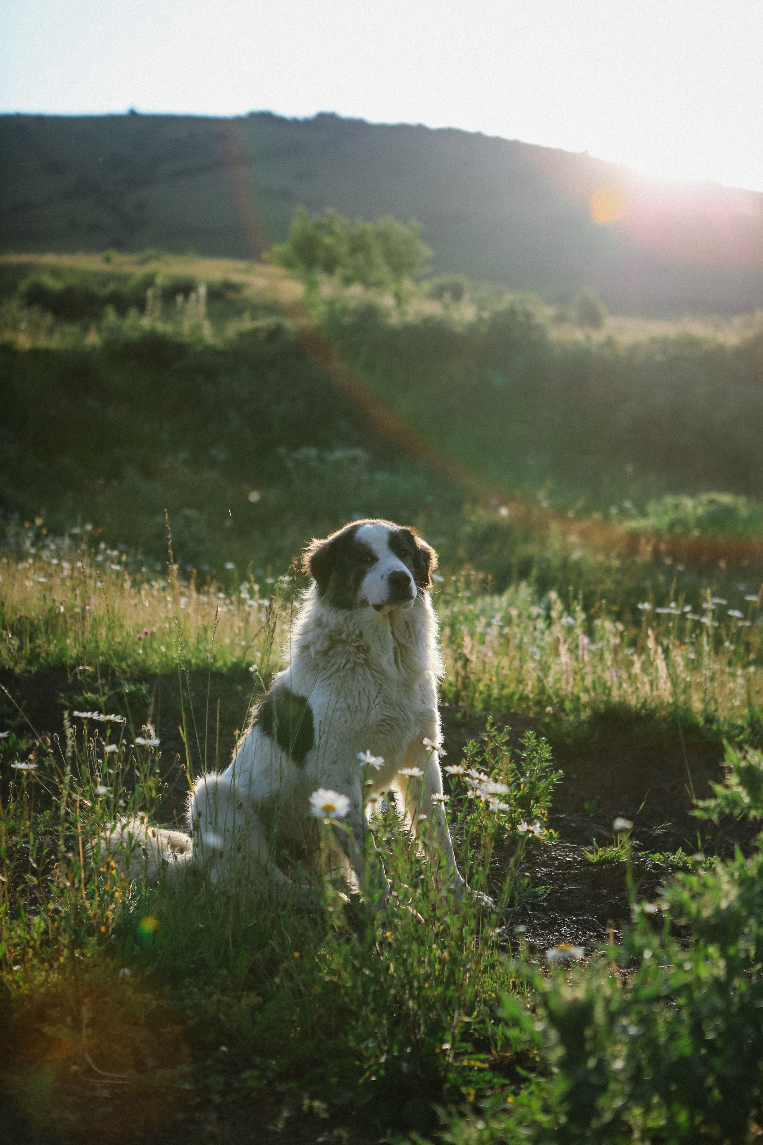 Пресс-тур для Неизвестного Кавказа. Свадебный и портретный фотограф в Пятигорске, КМВ — Власова Юля