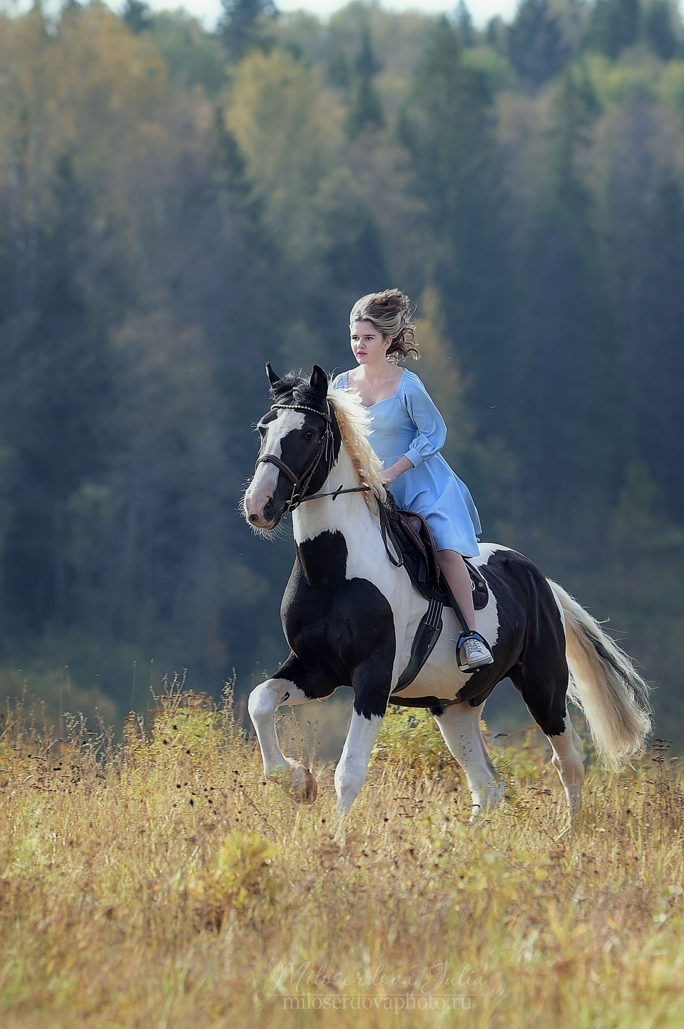 Фотосъёмки с лошадьми. Фотограф Юлия Милосердова