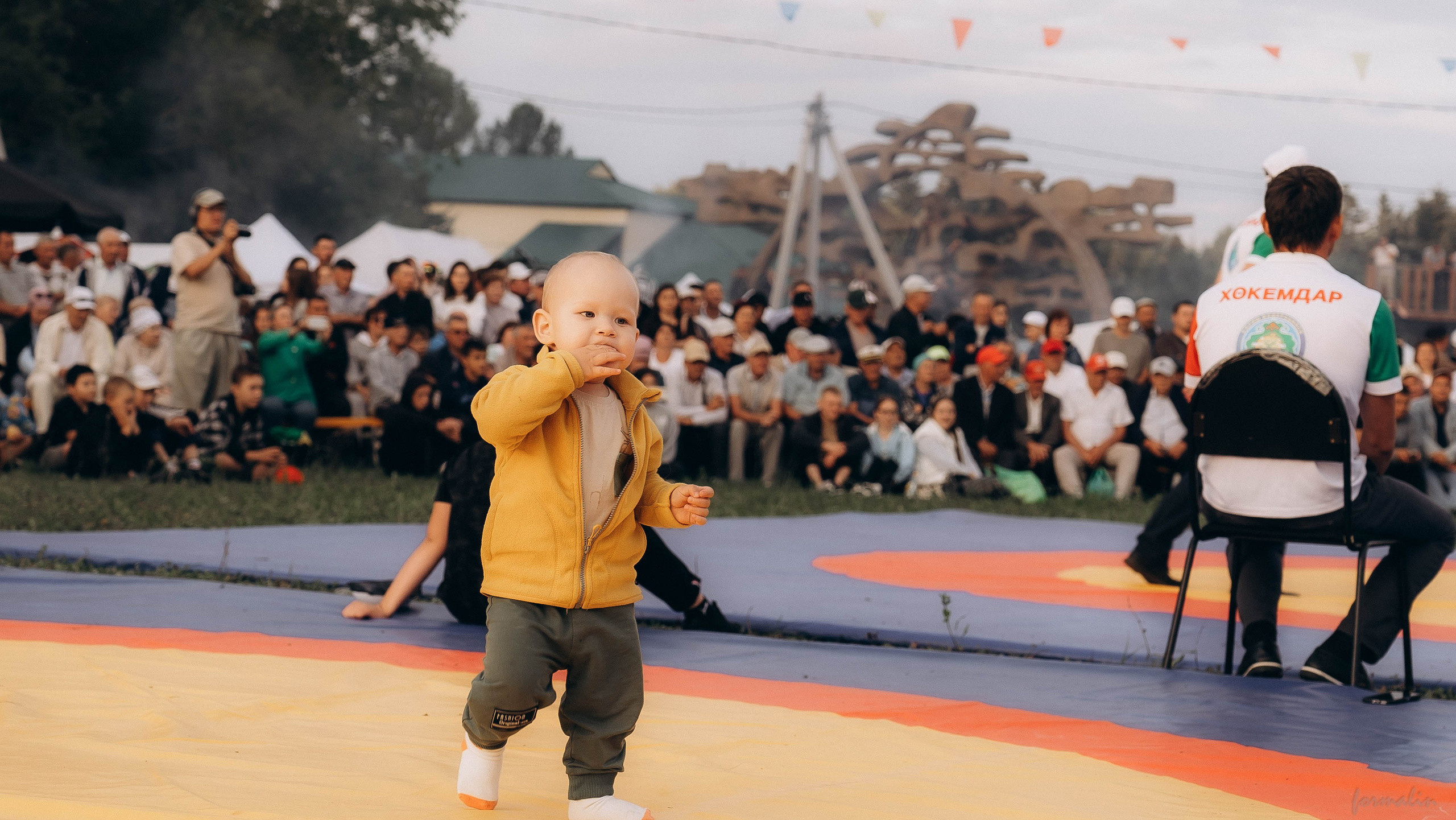 День Коня. Алиса Никитцова | Фотограф в Казани