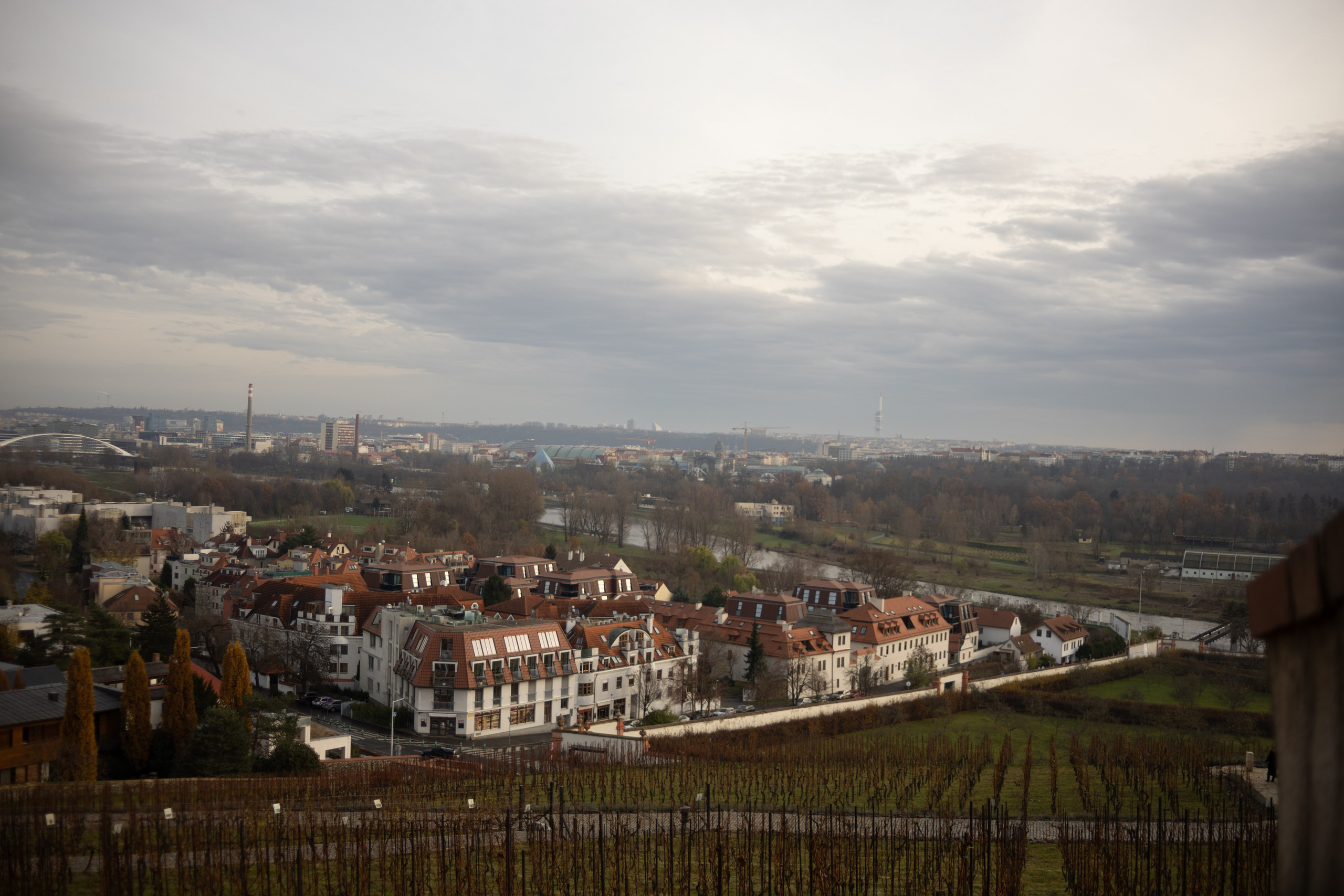 Tea exhibition, Prague. Magic photos