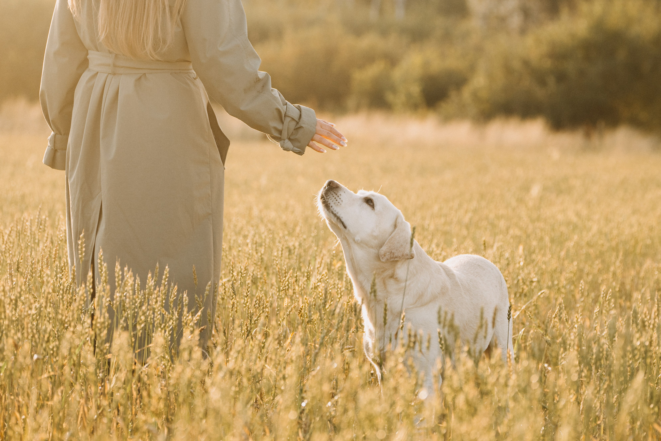 Дана и Арчи. Фотограф-анималист Анастасия Большакова