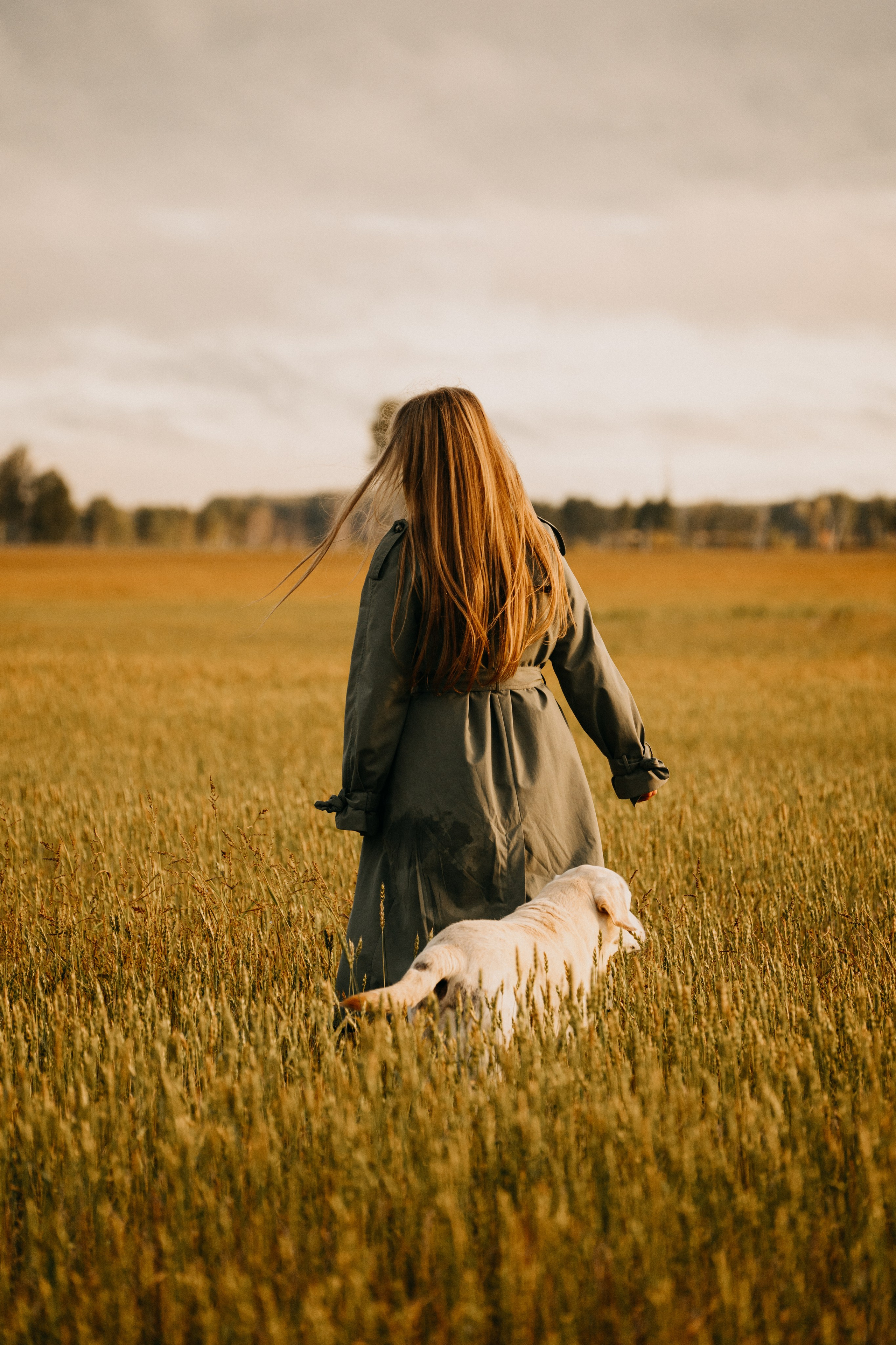 Дана и Арчи. Фотограф-анималист Анастасия Большакова