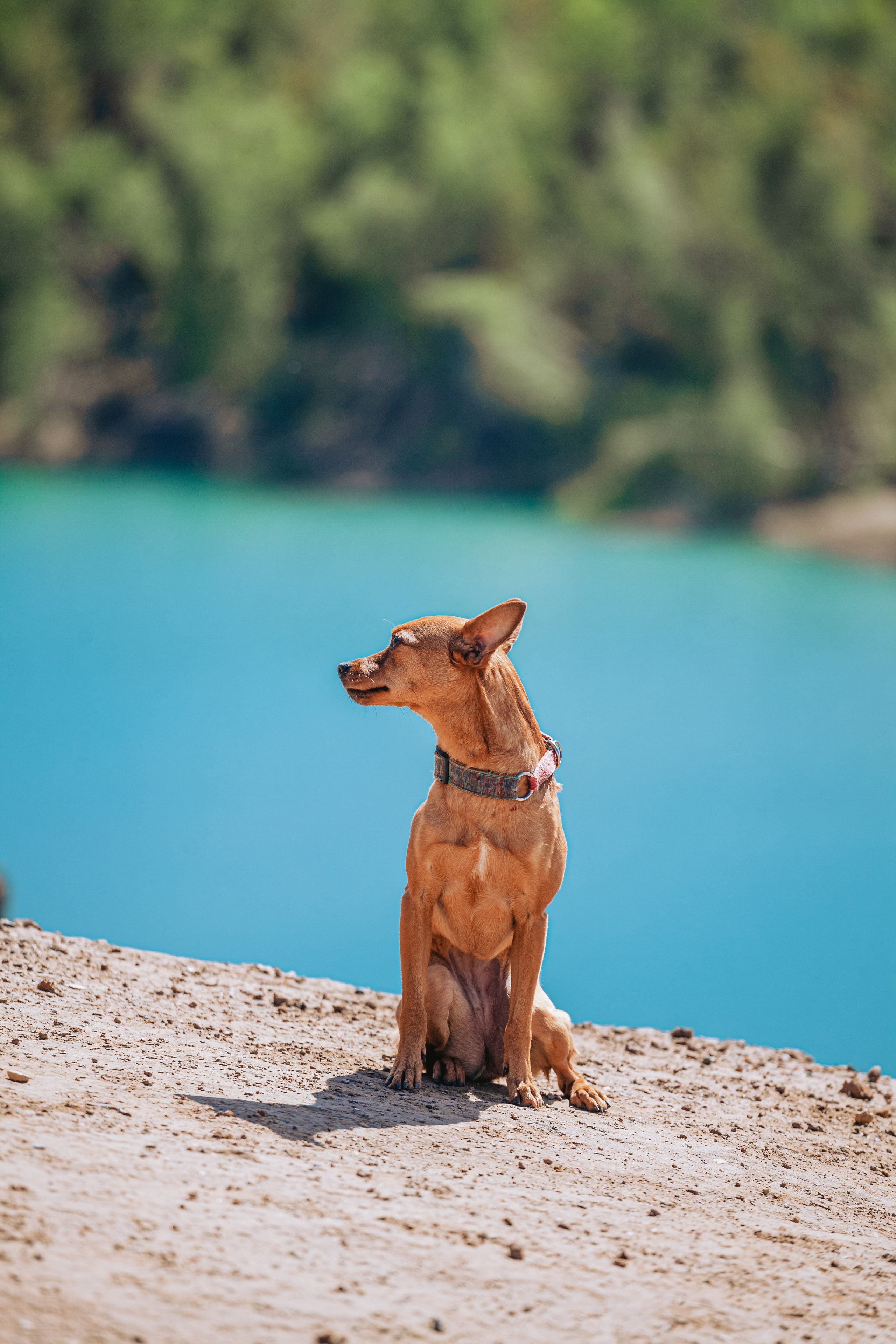 Кондуки. Фотограф-анималист Татьяна Степанова