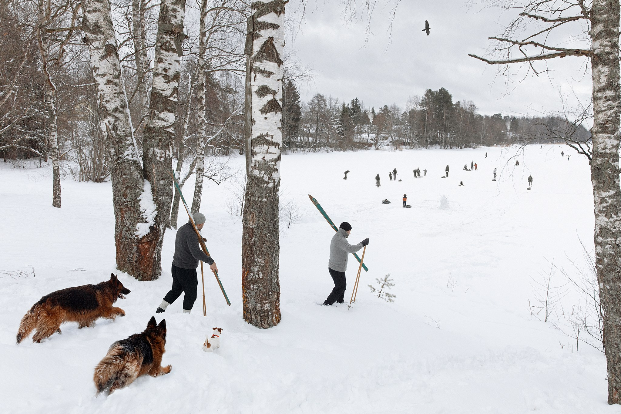 «СИНЕРГИЯ» 2019–настоящее время. Портретный фотограф в Санкт-Петербурге Александра Багдасаева