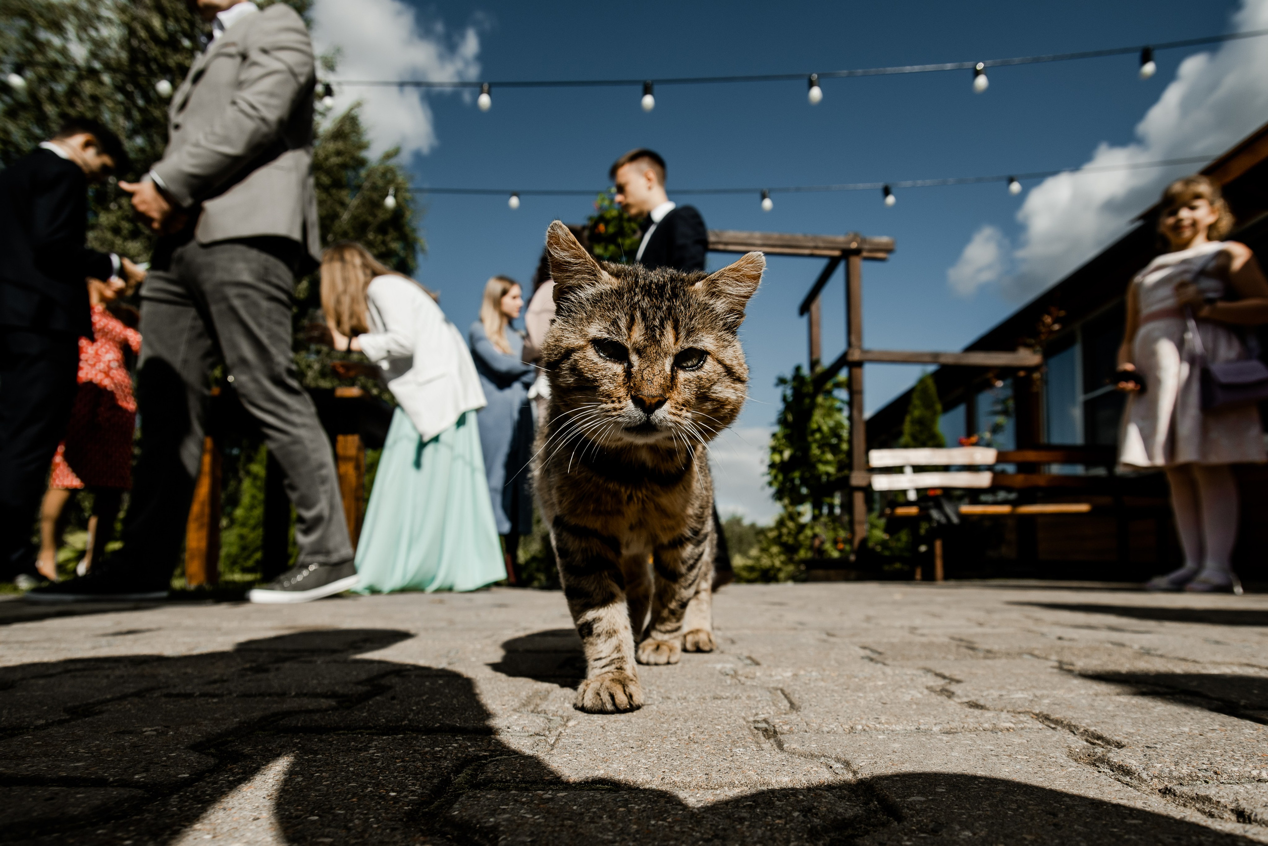 Артём + Вика. Свадебный и репортажный фотограф Грузия