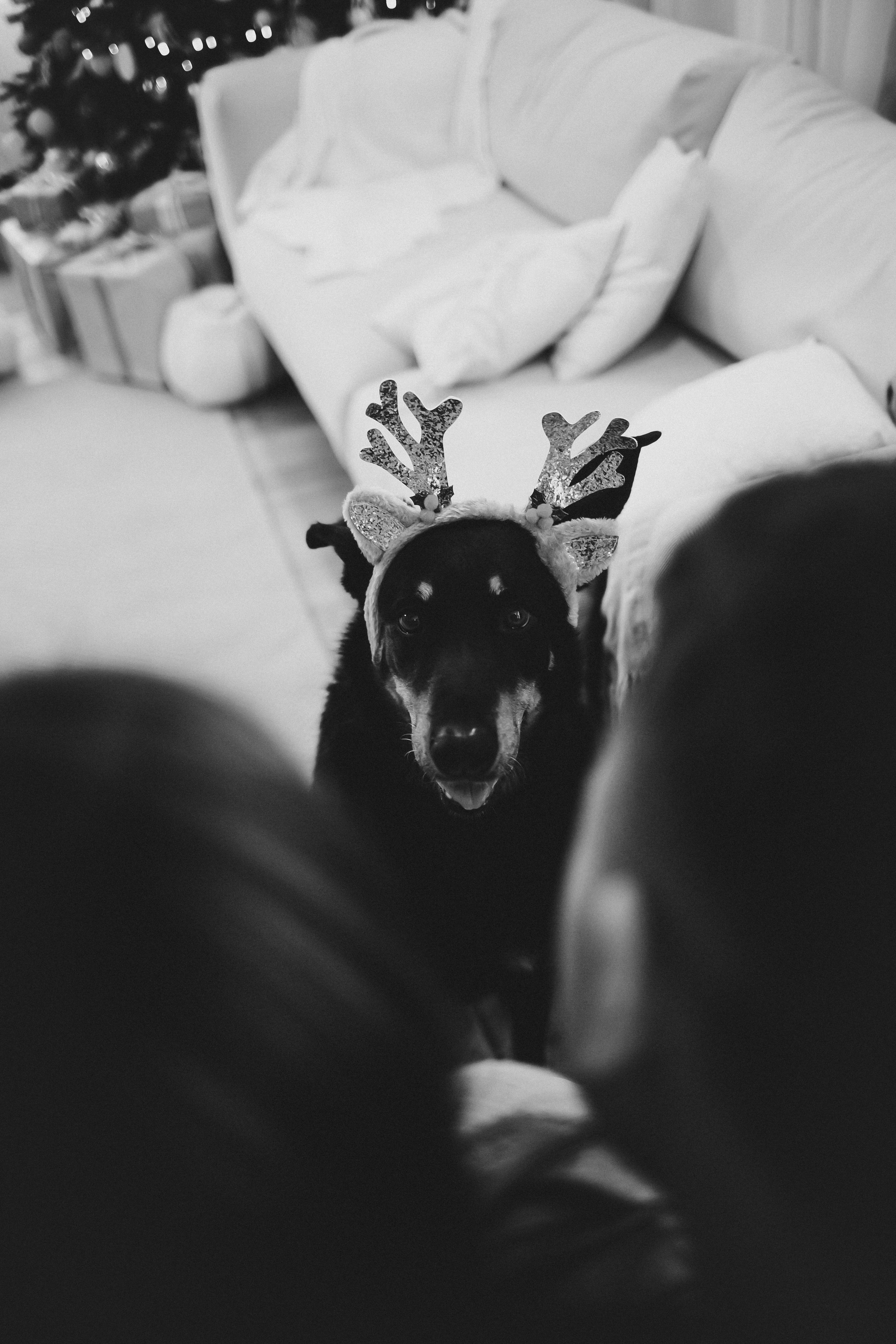 Антон & Полина. Анна Михайлова|Свадебный фотограф в Санкт-Петербурге