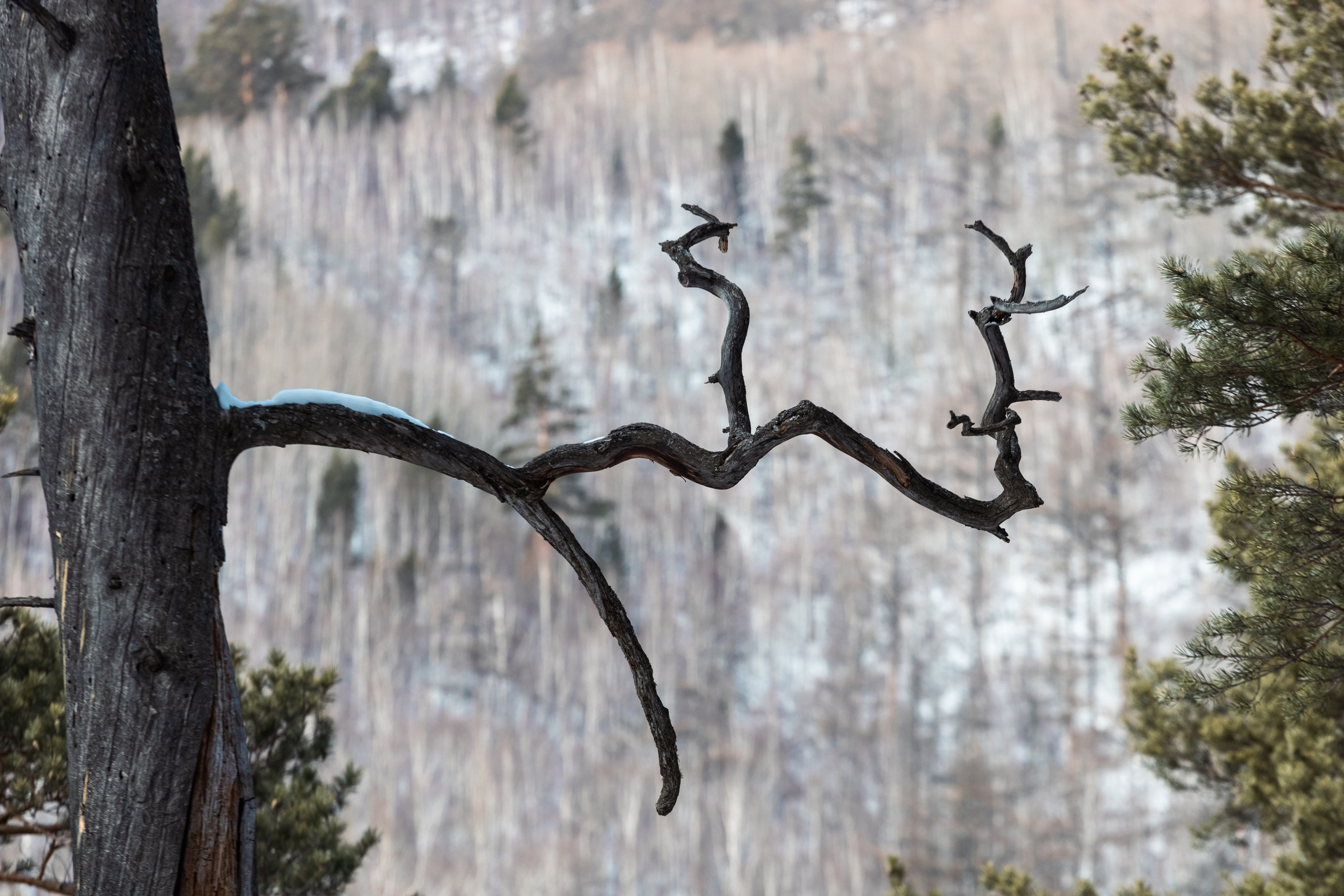 Байкал. Фотограф в Красноярске Оксана Корчагина