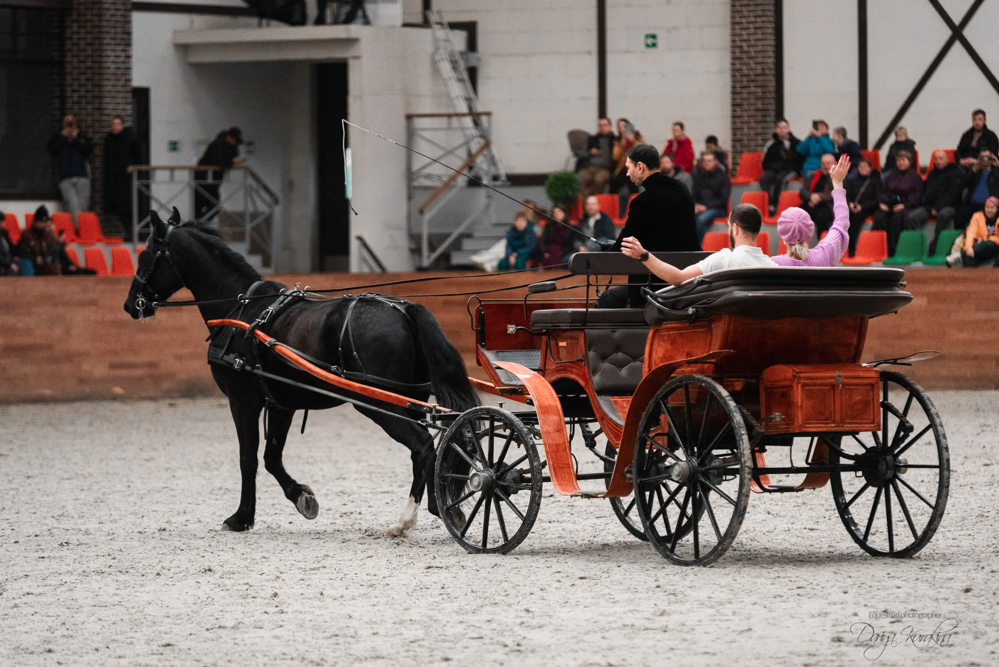 8-я международная выставка Конная Россия. Конный фотограф Куракина Дарья • Фотосессии с лошадьми