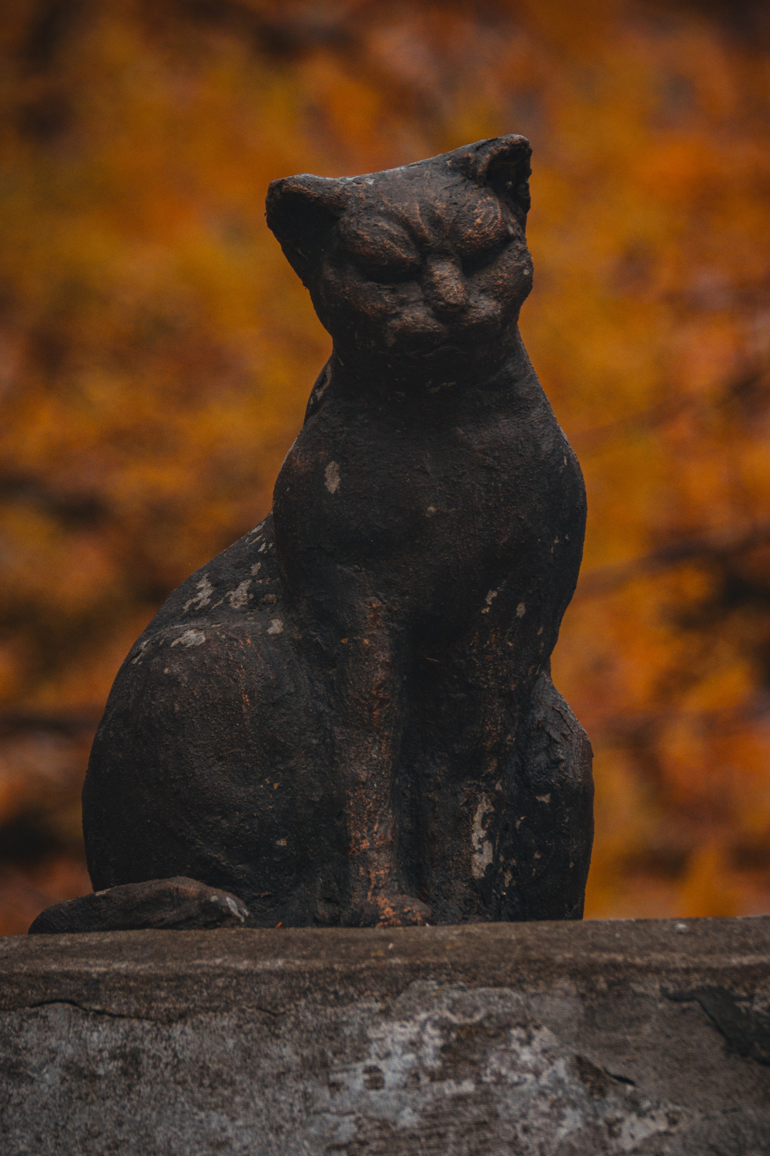 Ж Е Л Т Ы Й. — Digital Noise —