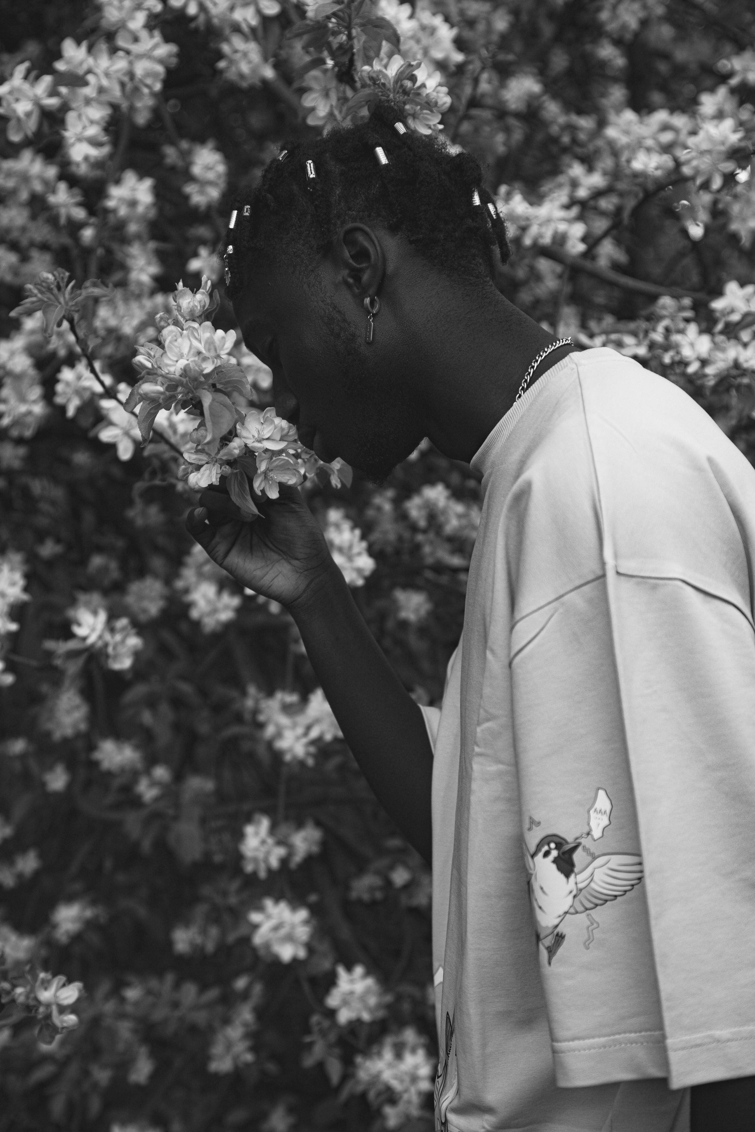 F a b i o. — Digital Noise —