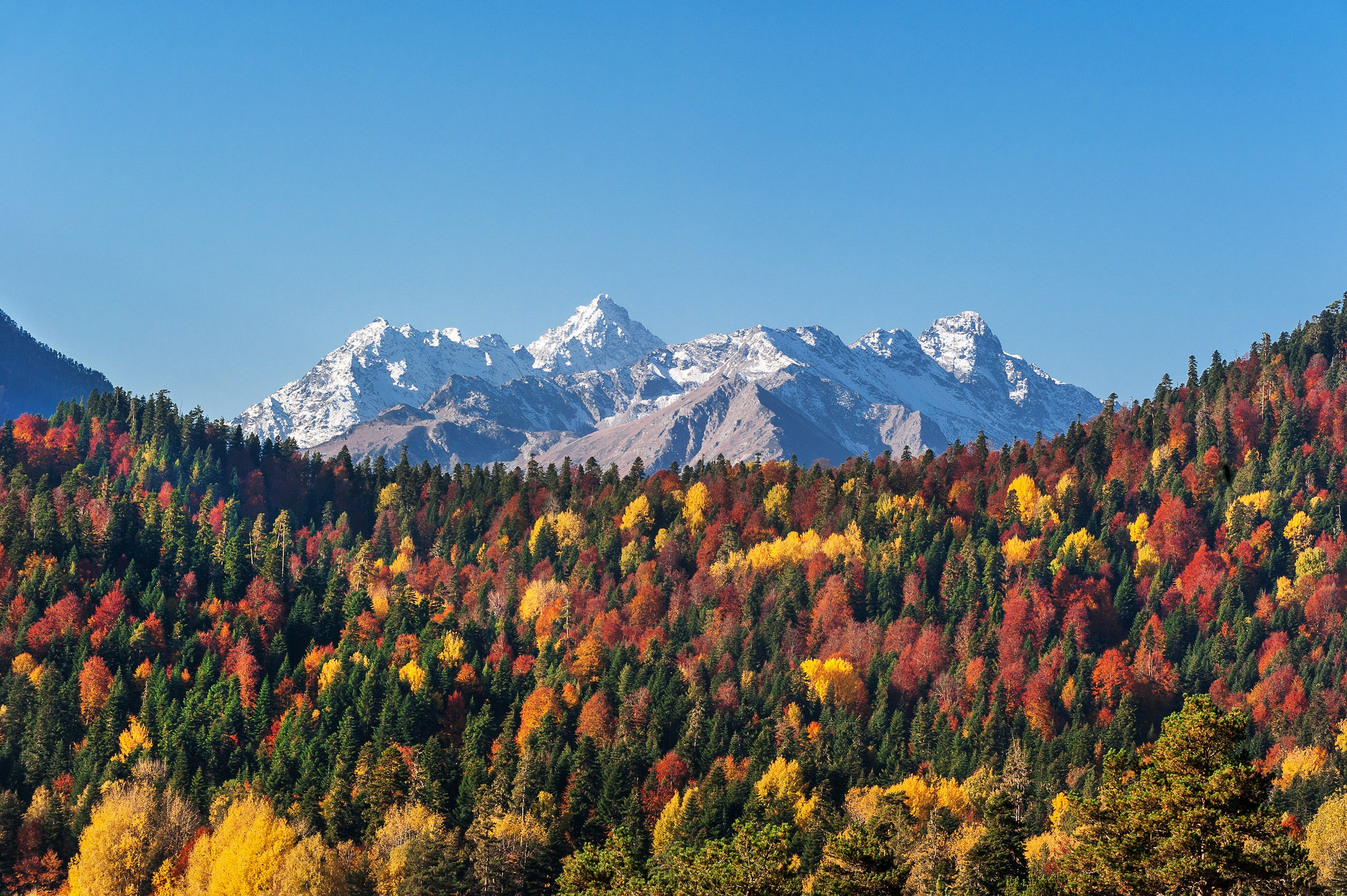 Путешествия. Спортивный фотограф в Ростовской области Анжела Гринченкова