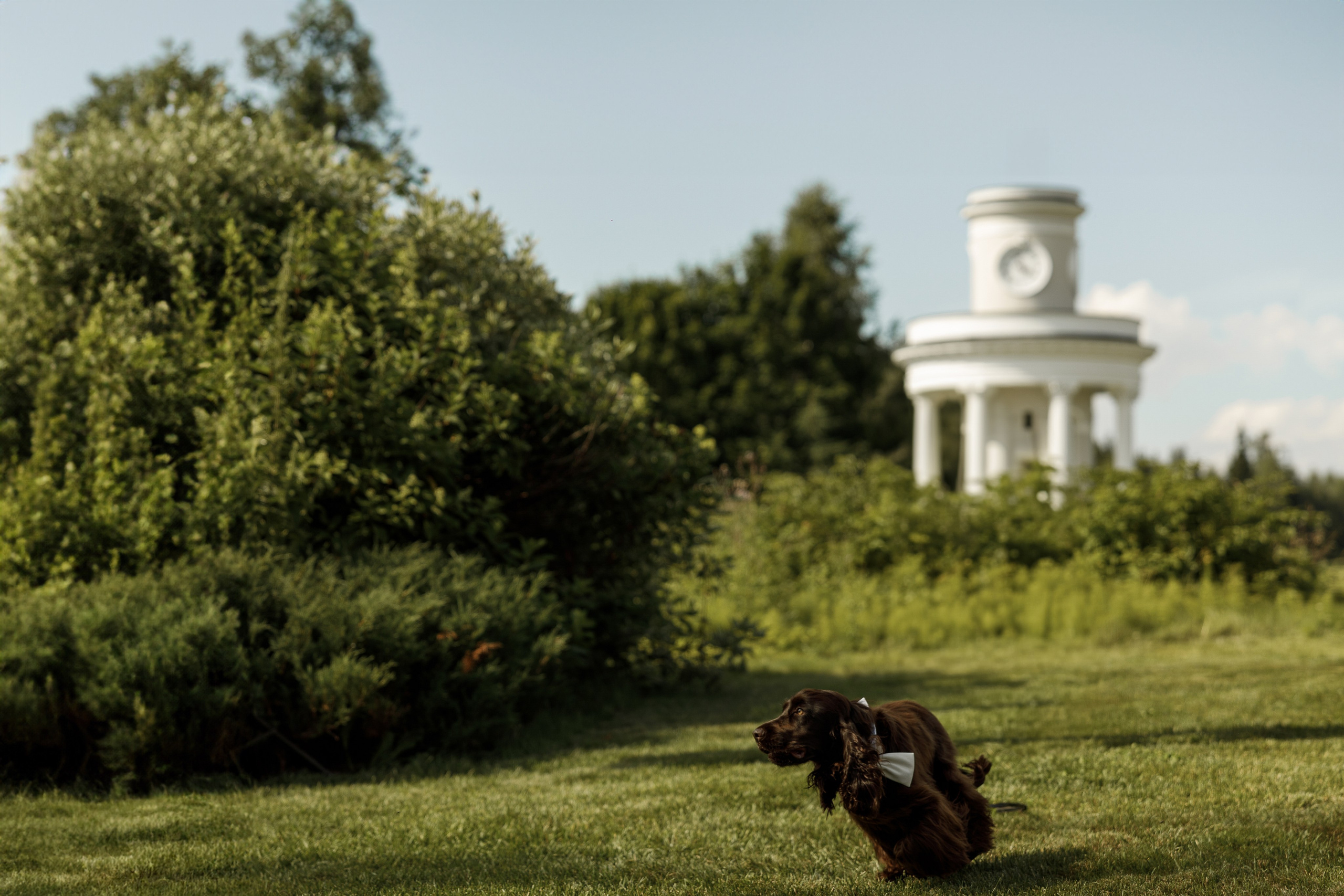 WHITEWedding_2024_Волнухин_1. Свадебный и event-фотограф Иван Волнухин