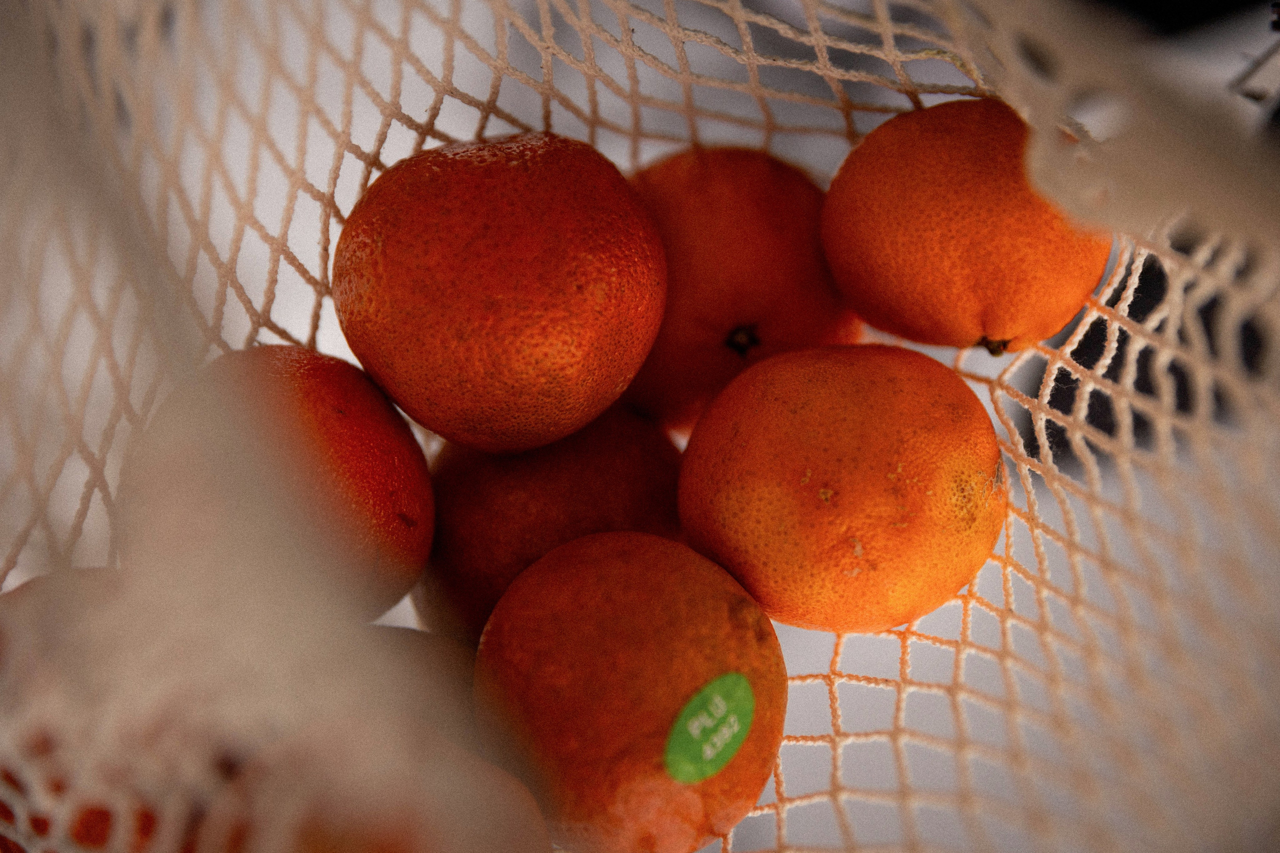 Forest vibe. Свадебный и семейный фотограф в Карелии