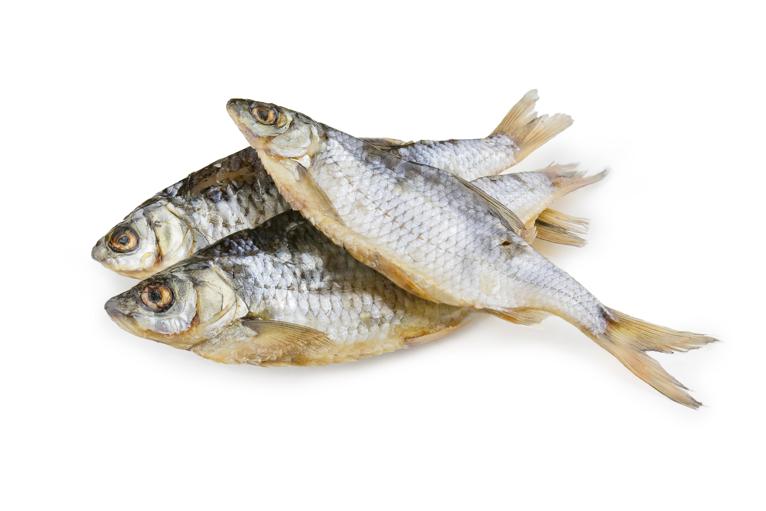 Закуски к пиву | Фуд-фотограф Воронеж