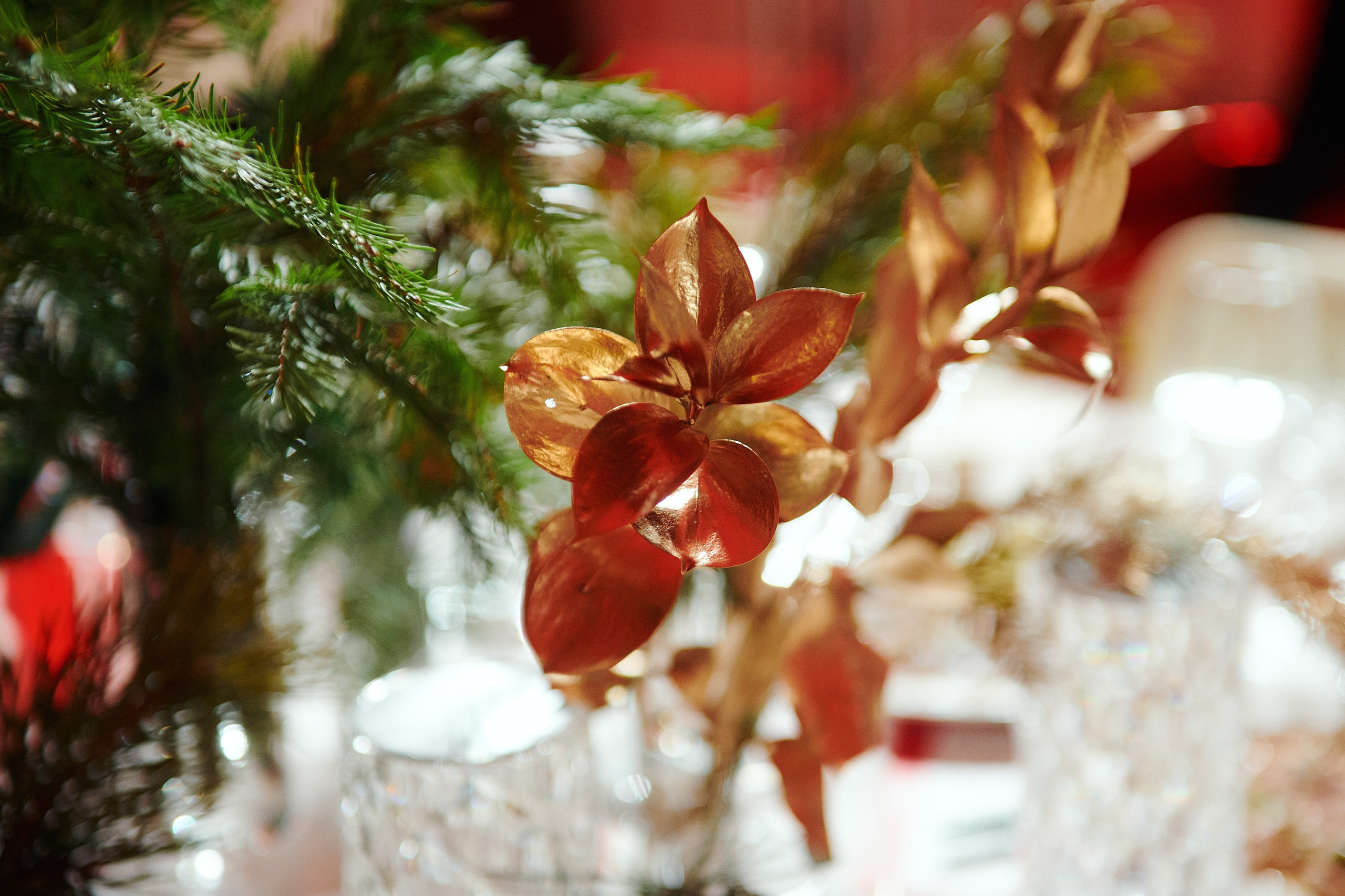 Новый год. Фотограф Роман Арыкин Екатеринбург