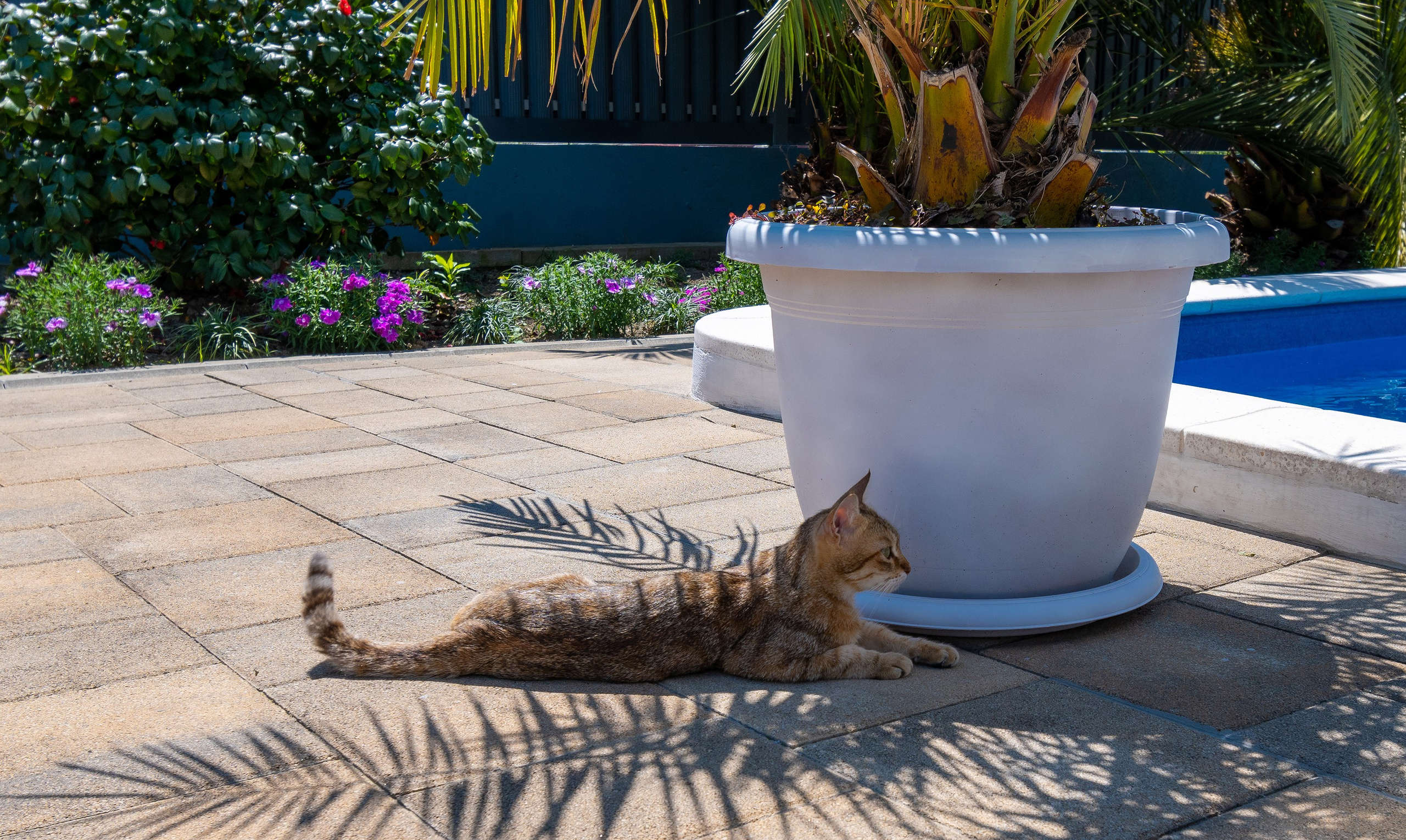 Дом на Яблочной. Интерьерный фотограф в Сочи | Роман Сусленко