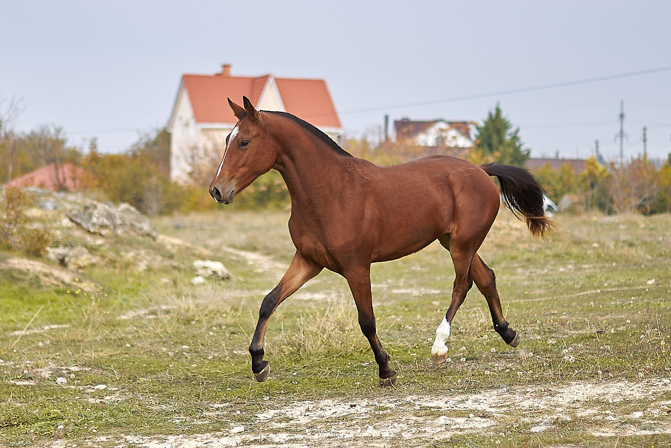 Роня. Фотограф в Севастополе