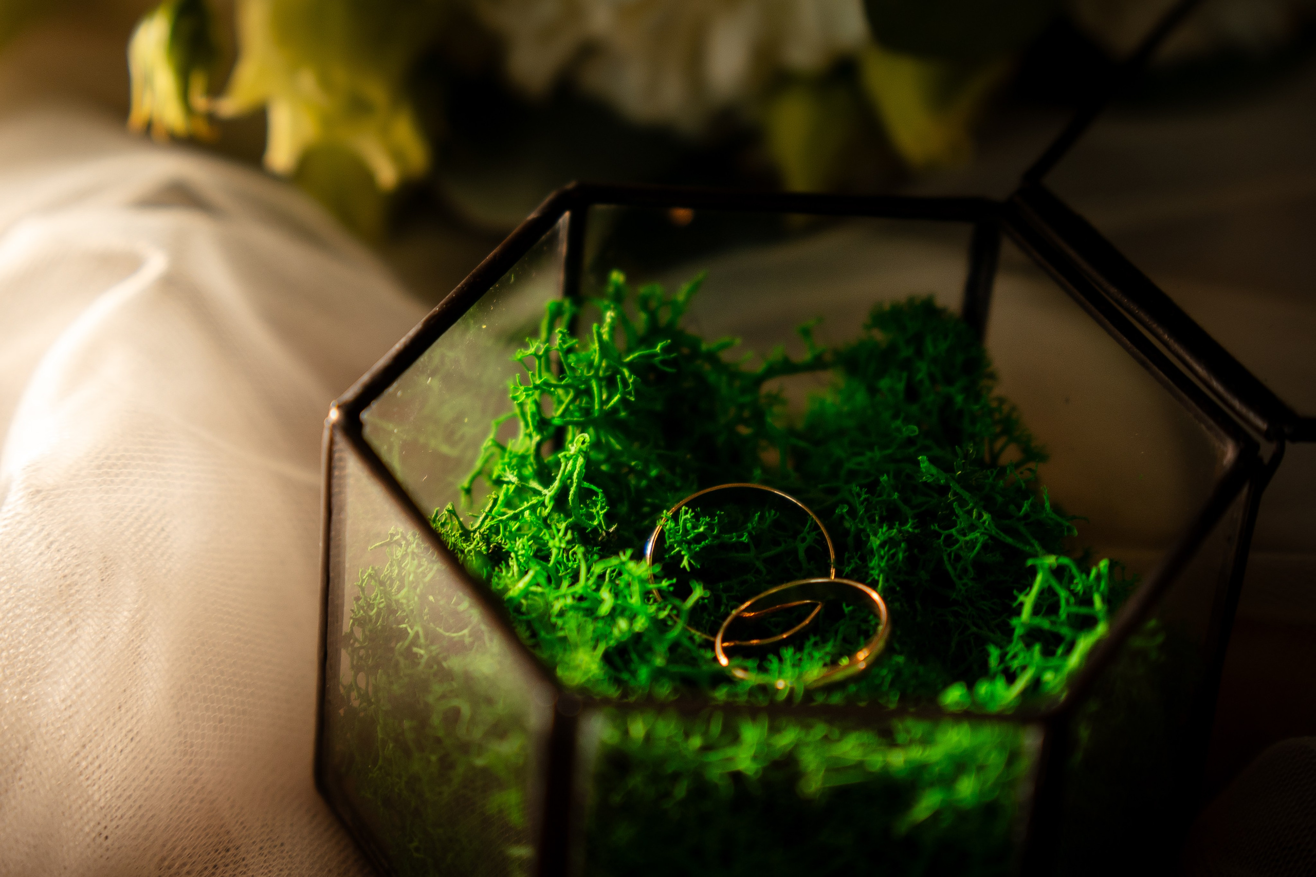 Егор и Надежда. Фотограф Новосибирск Вероника Вишневская