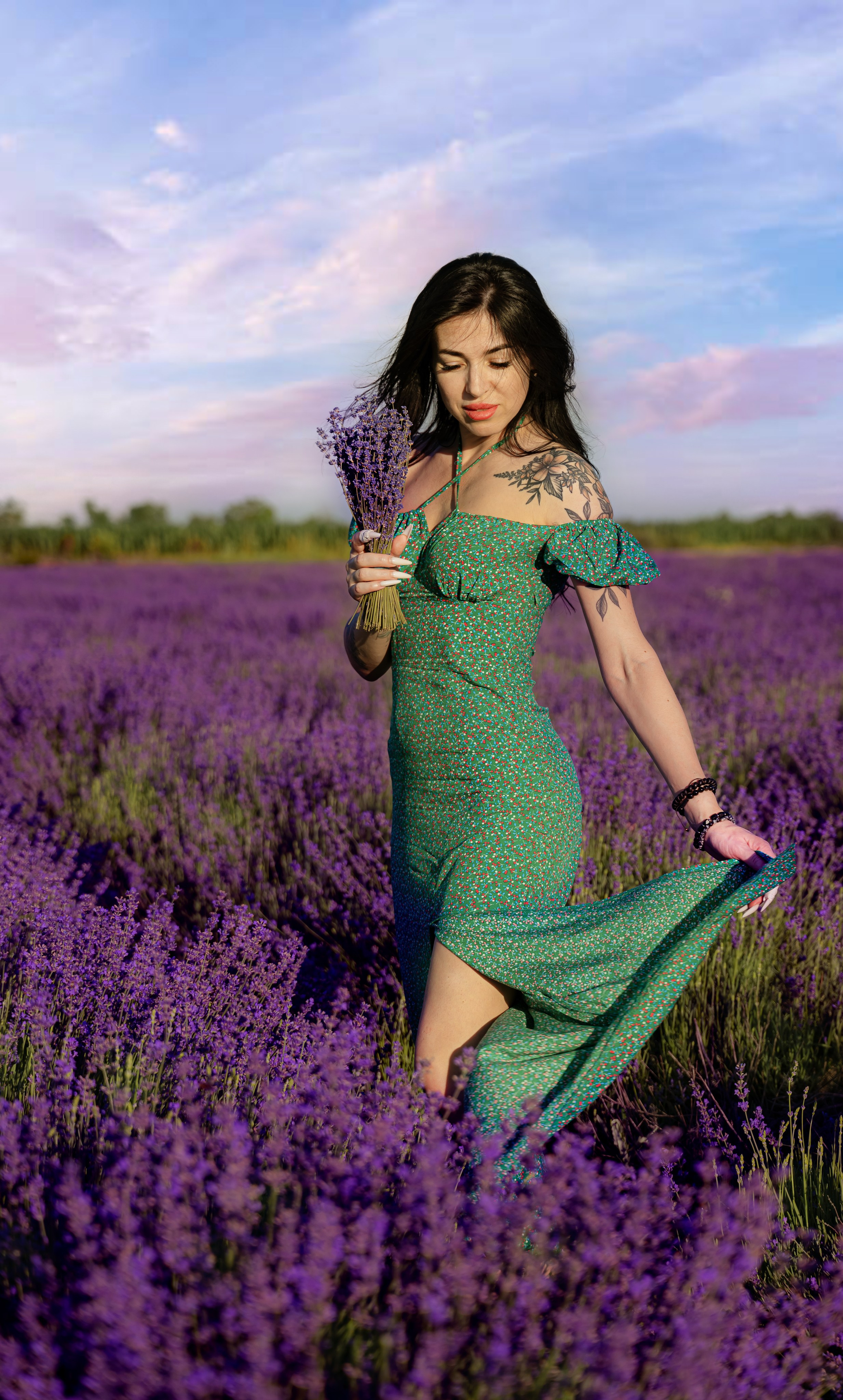 Лаванда. Главная