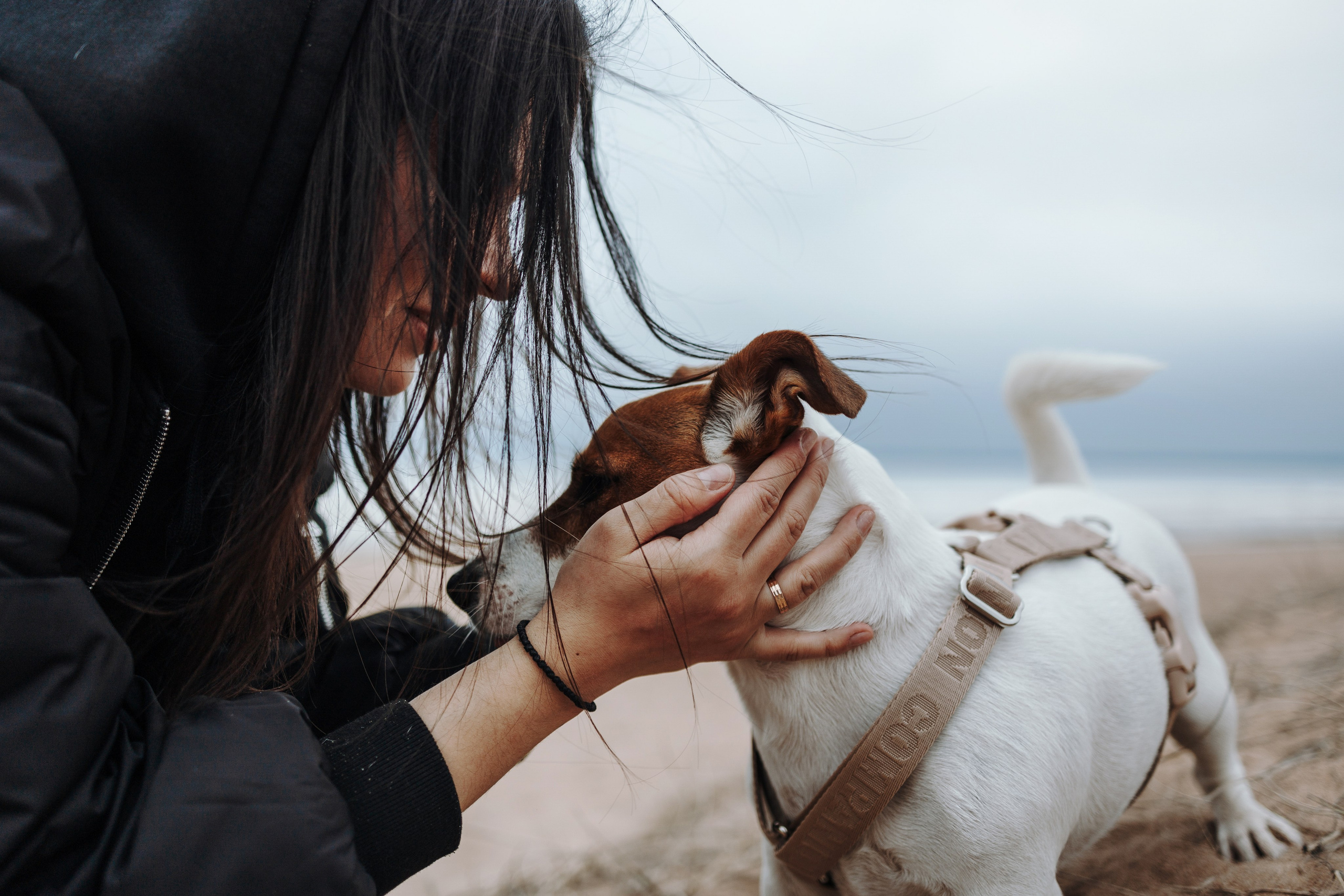 Саша и Джеки. Фотограф — Анималист | Санкт-Петербург