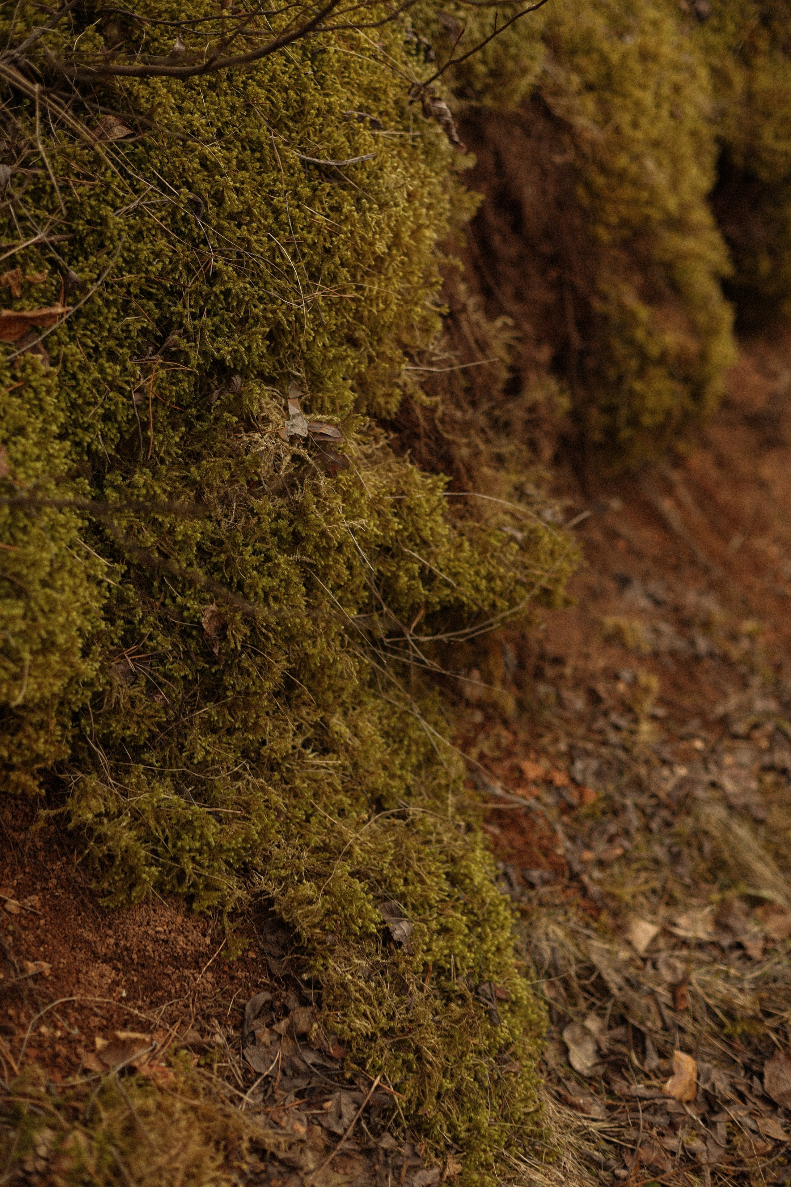Мы- главные актеры. Фотограф — Ольга Косолюкина